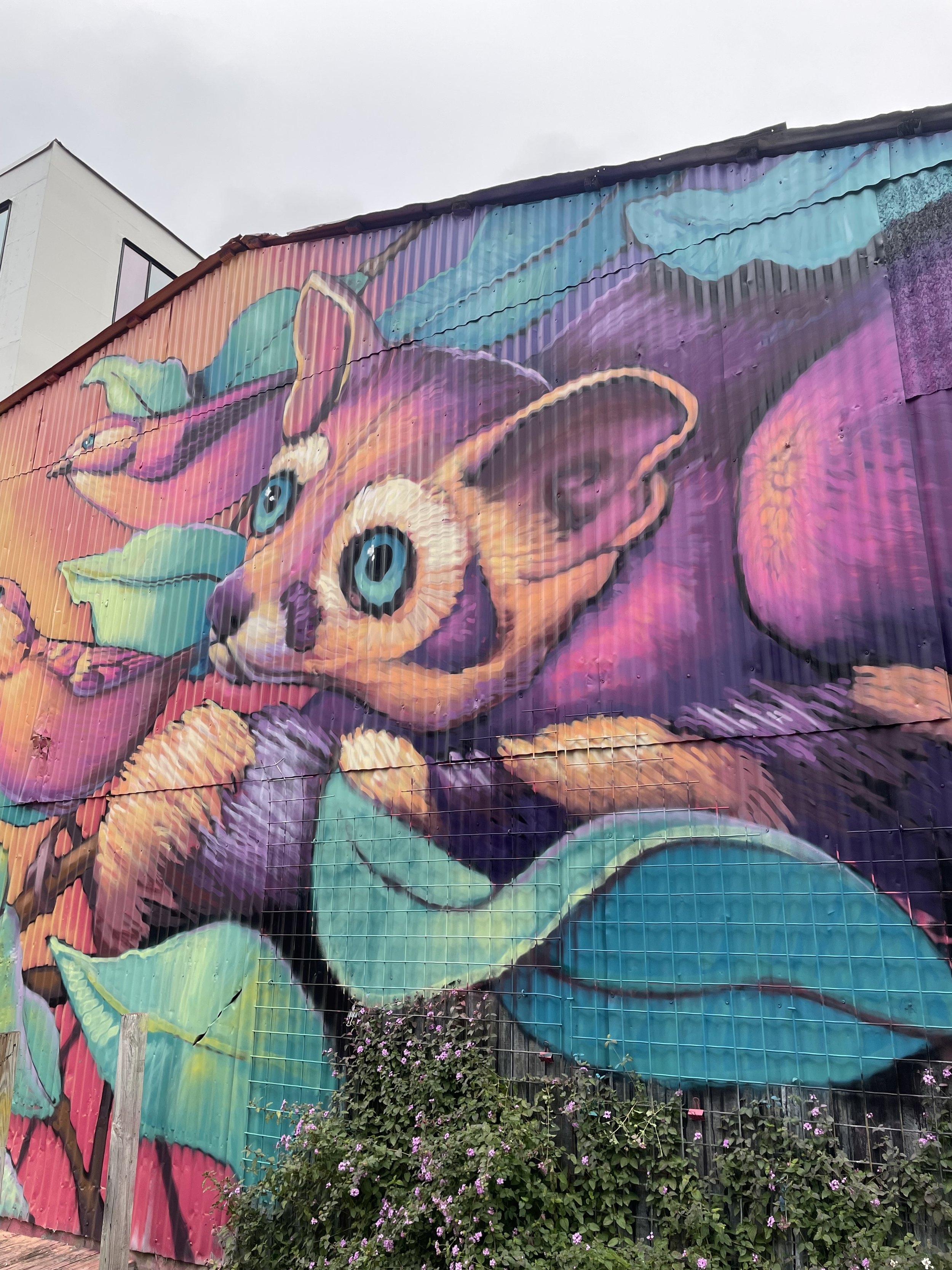 east austin mural project