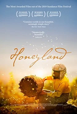 Two children in a field, one holding a large honeycomb. The background features a warm, golden sunset with pollen or particles floating around. The image is promotional for the film 'Honeyland,' highlighting awards and reviews.