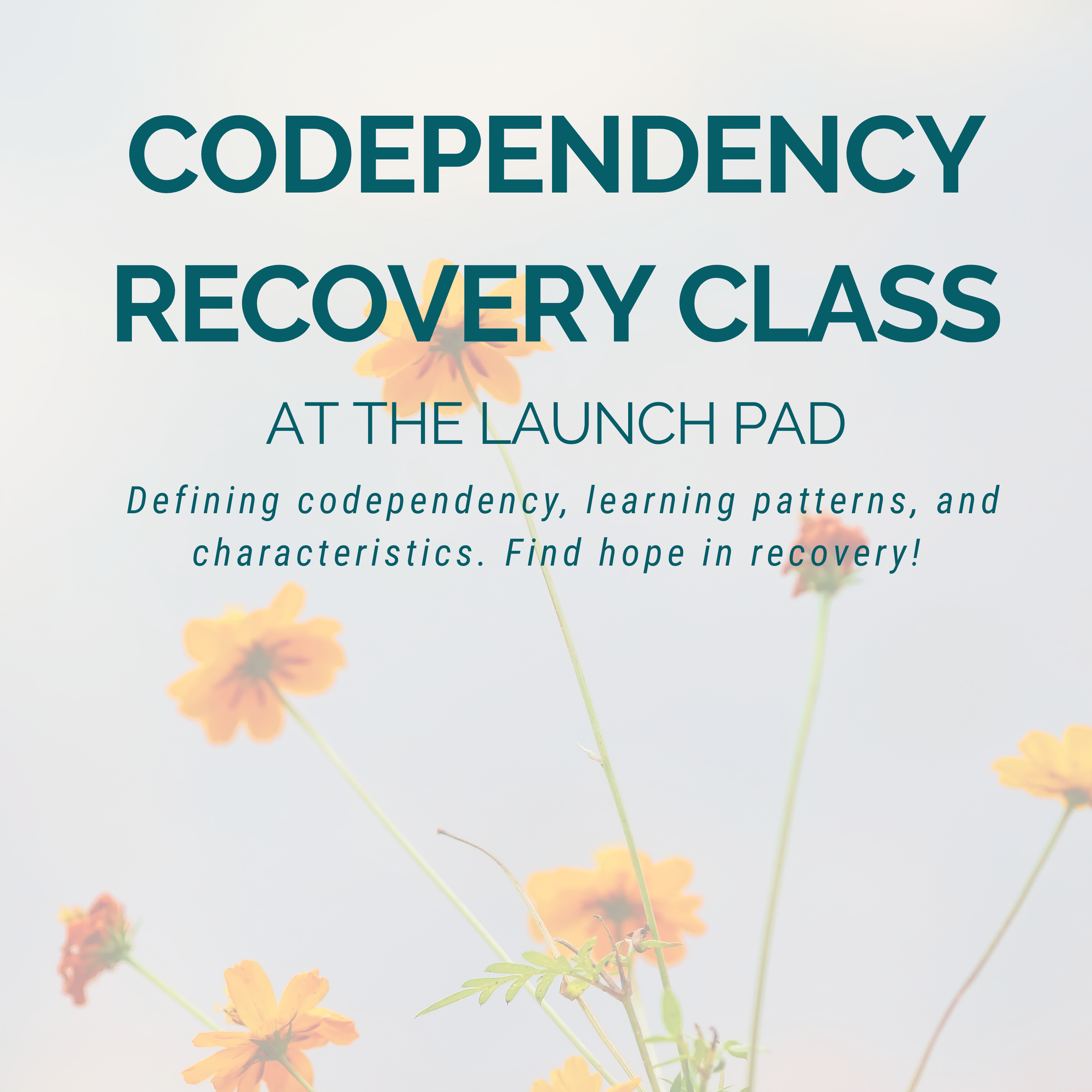  Codependency Class