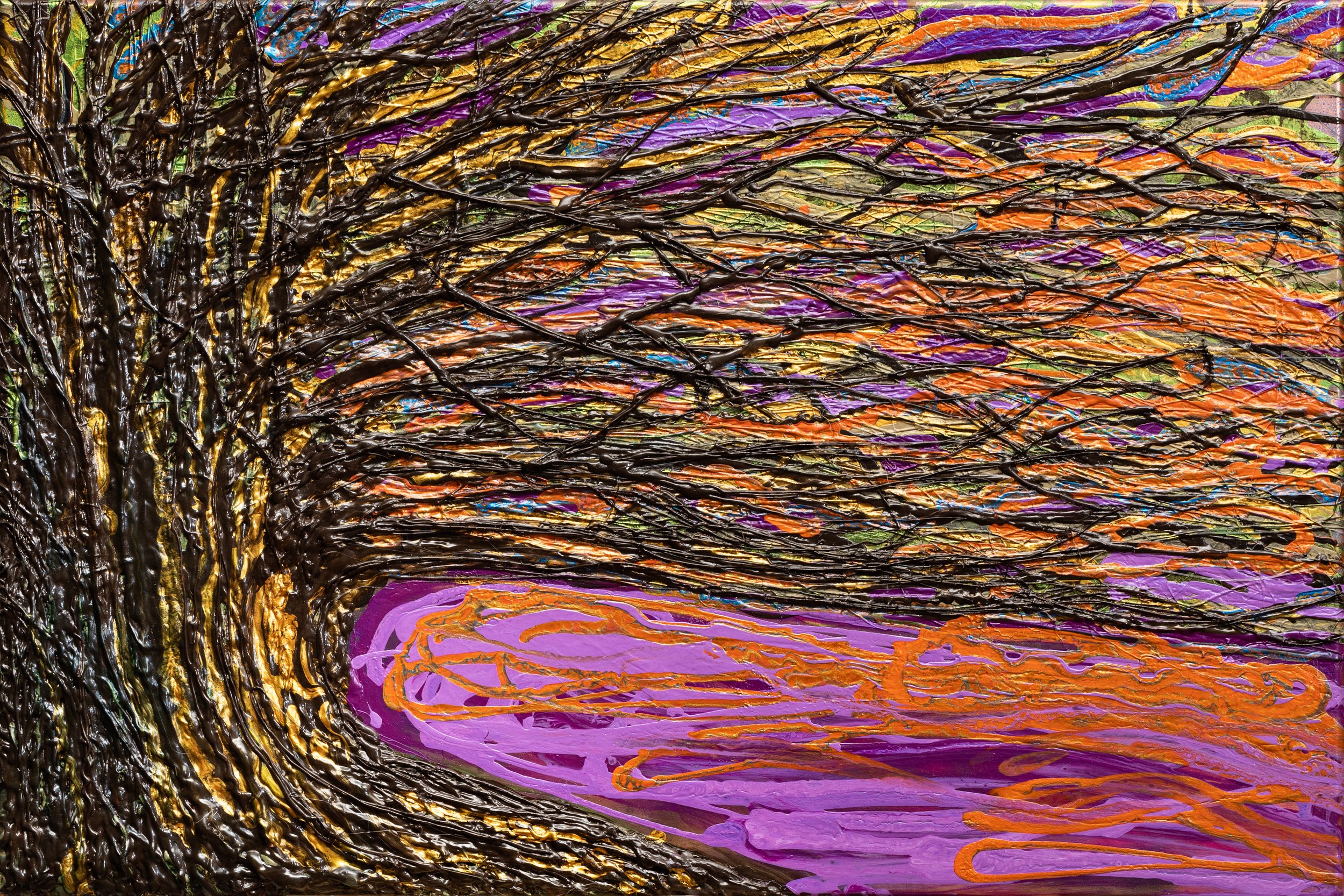 Sunset Tree