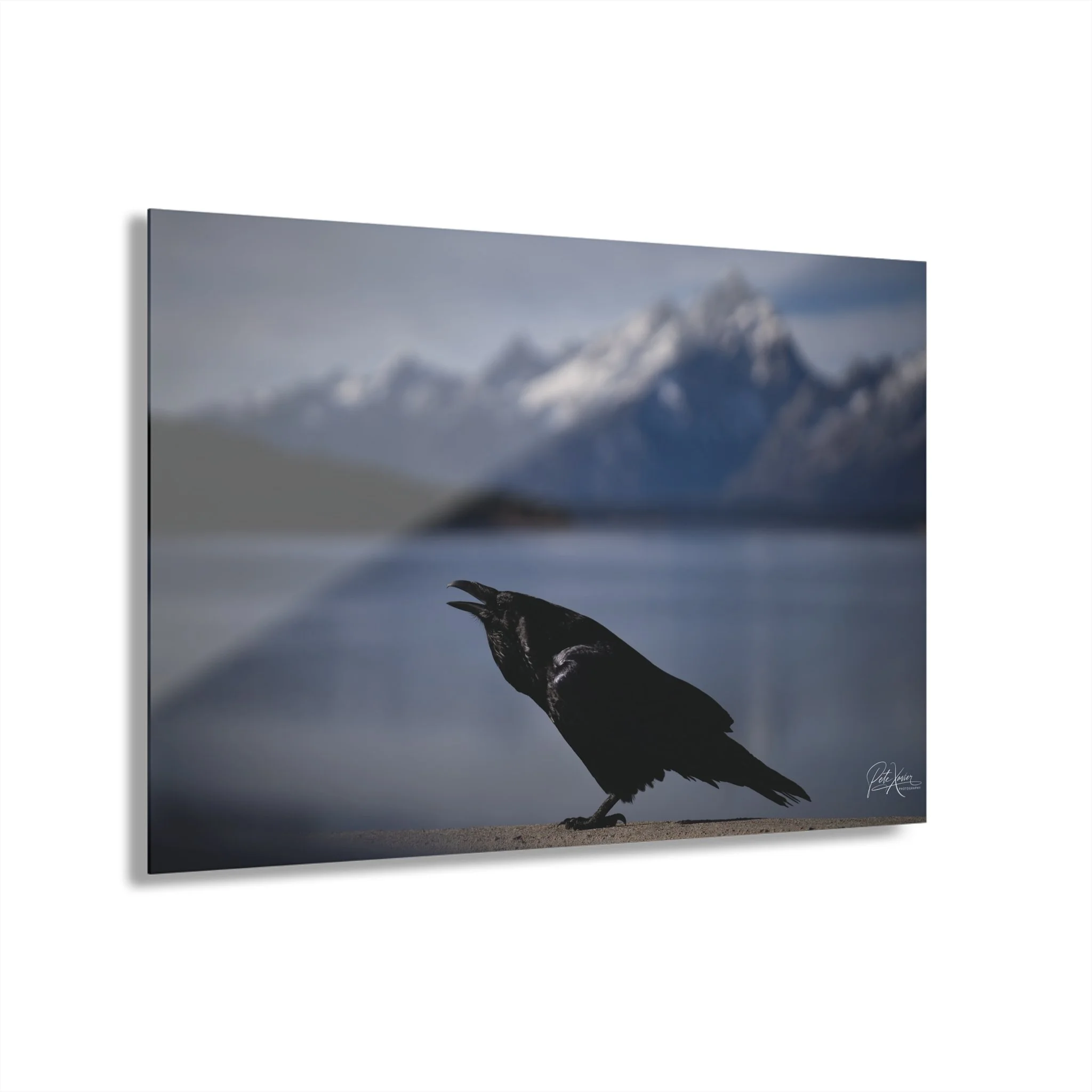 a5010dd40ce606a1cff234cd589c4287