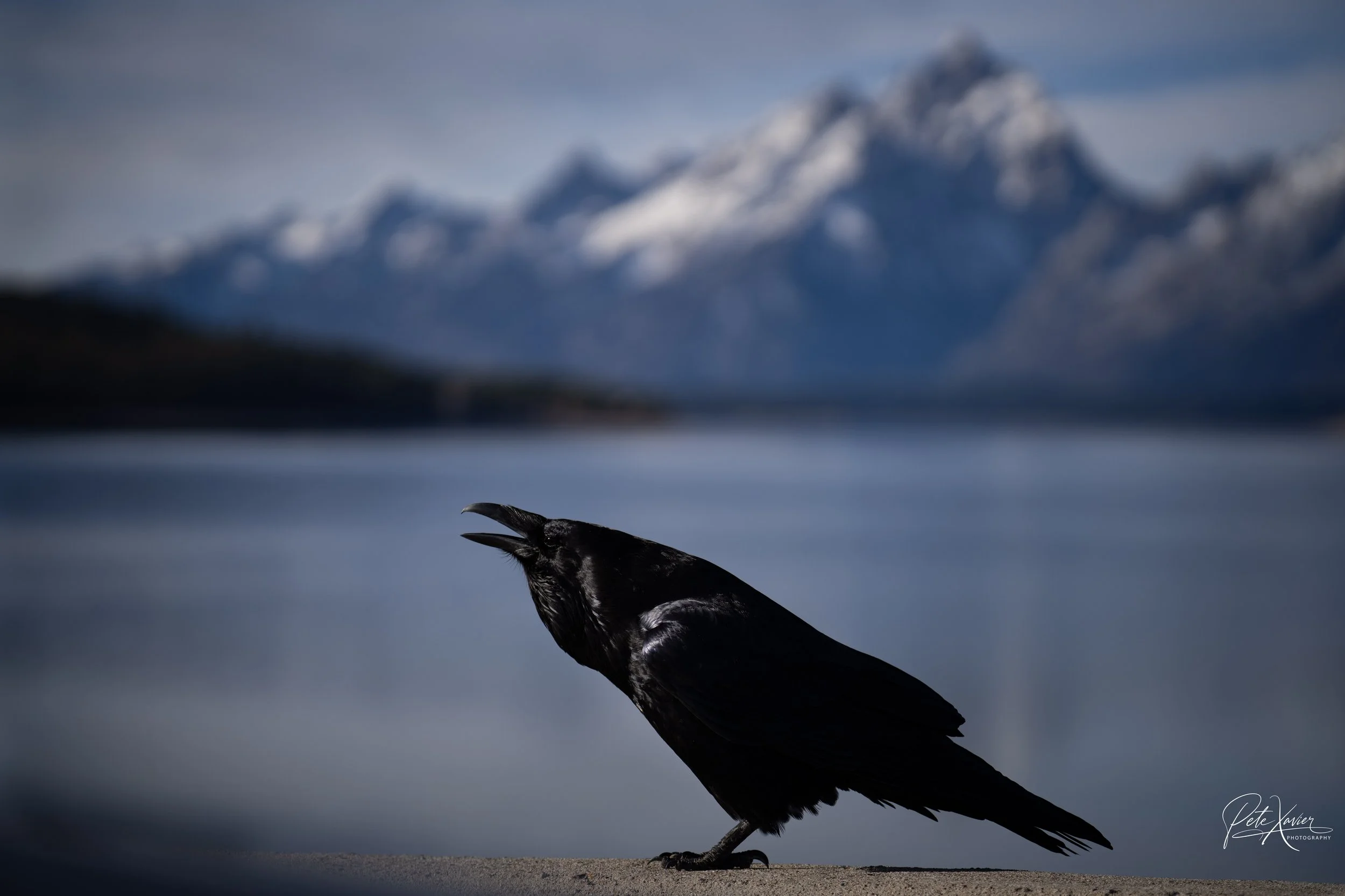 554c441a9bc4e073a5e5000e16455bce