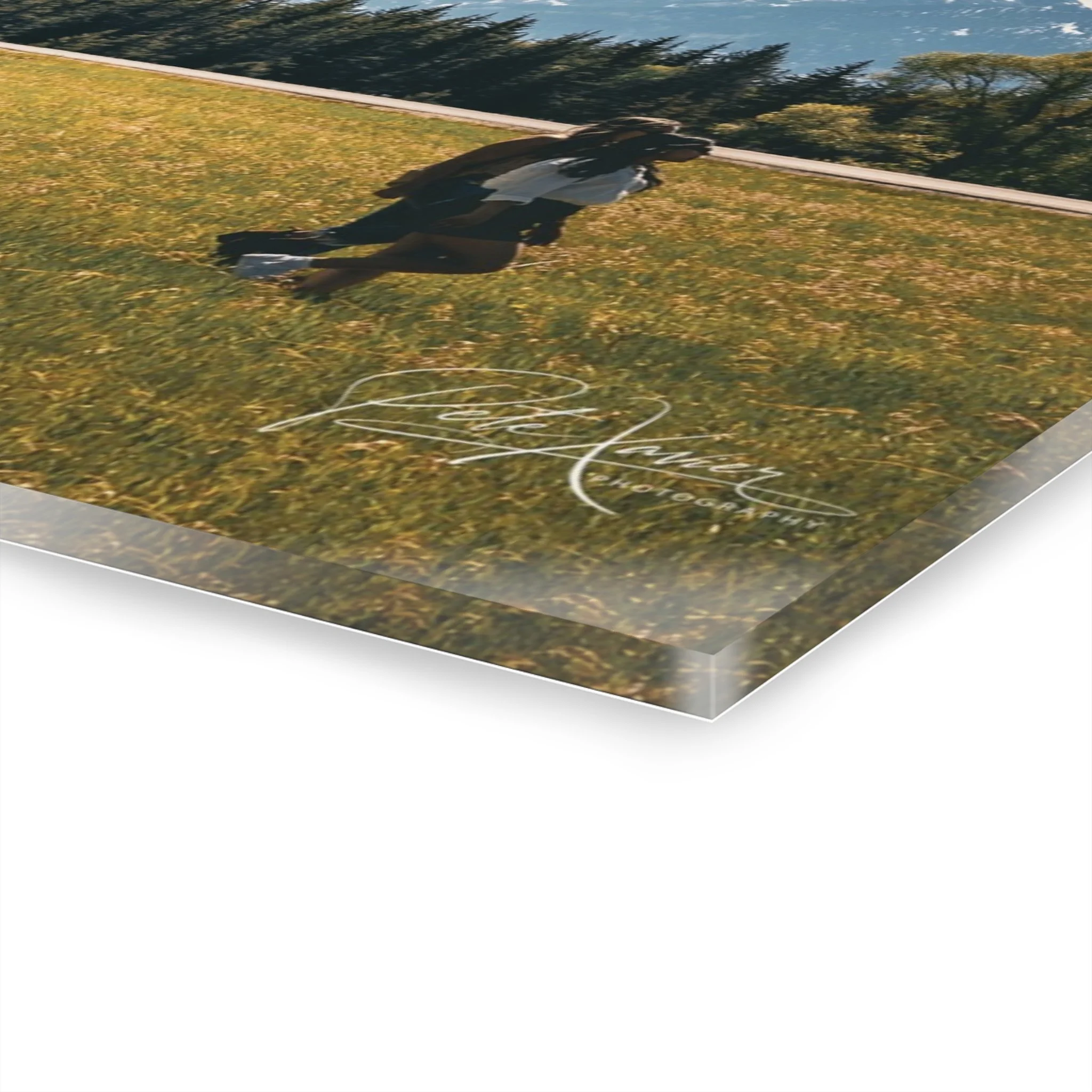 187d4a0daadf79c390510071f0570175