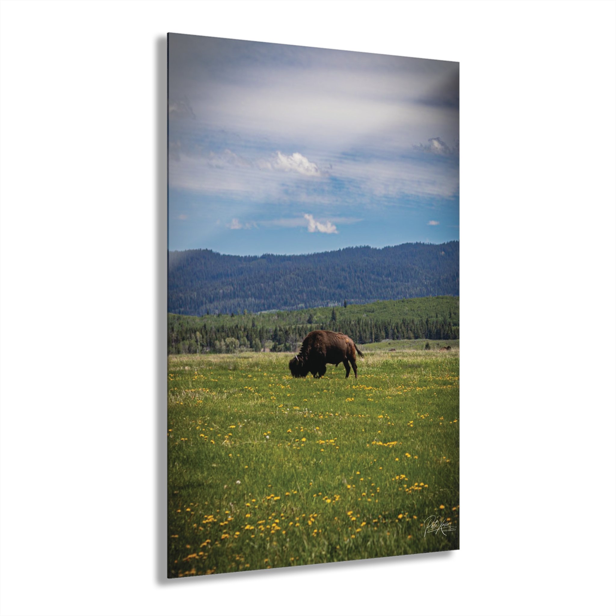 1f4a4177ad548a82413016a87d23b862