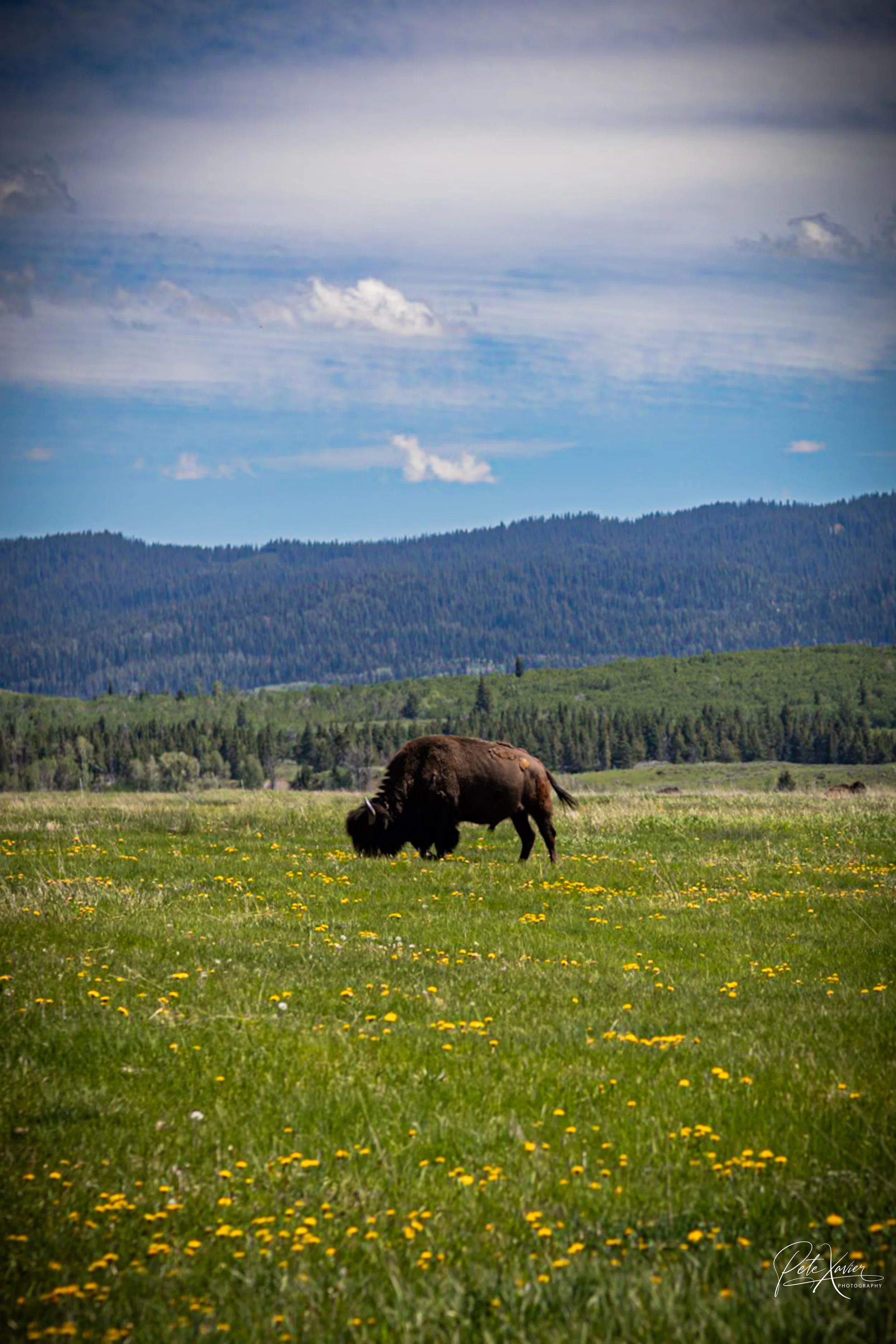 9ab8dbdf49aec9f6b4264694ce318338