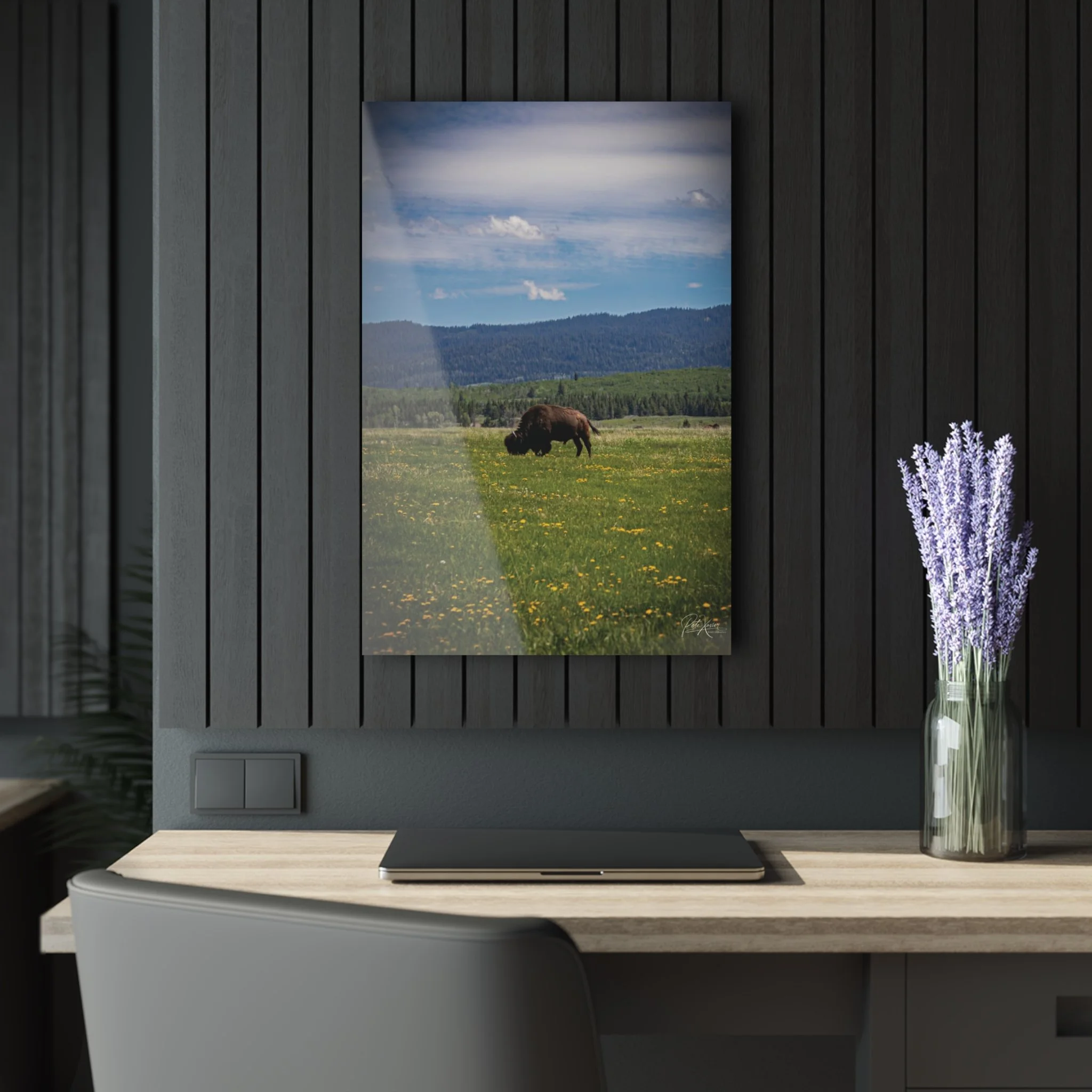 54dff085d6fd877c4f4a2dd9732774a1