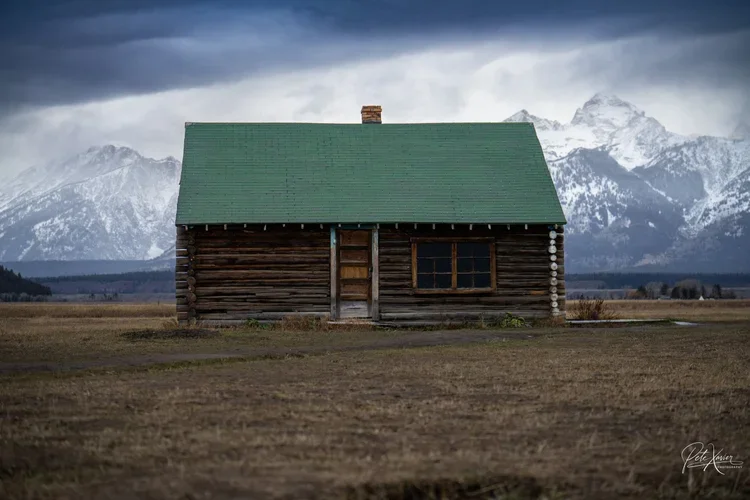 Nature Photography in Allendale