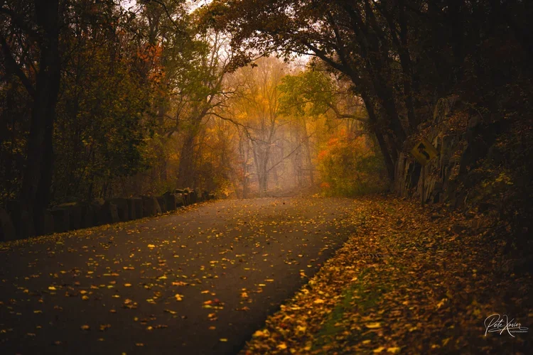 Paramus Photographer