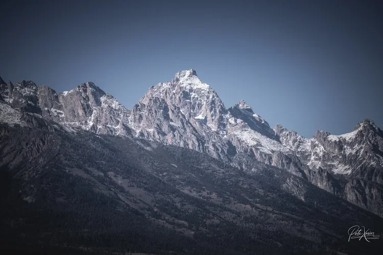 Nature photographer Allendale