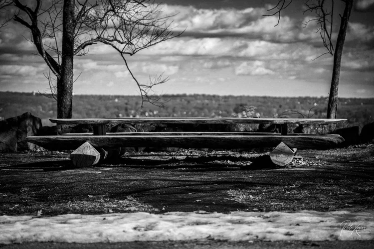 aesthetic photographer near me