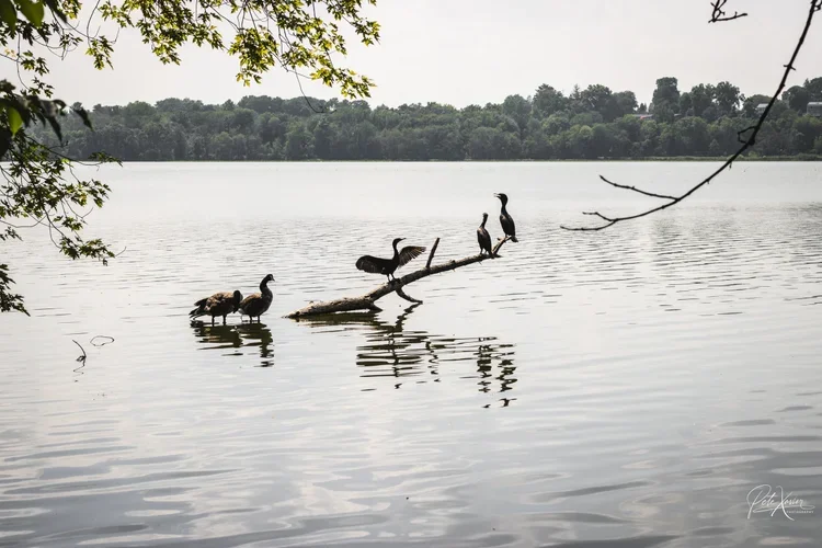 Portrait photography Bergen County