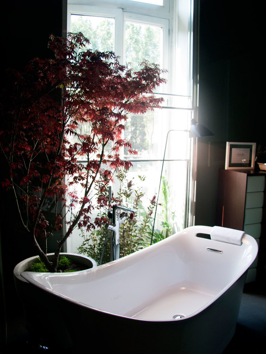 THE DWARF RED JAPANESE MAPLE GAVE US THE COLOR SPLASH IN THIS BATHROOM.