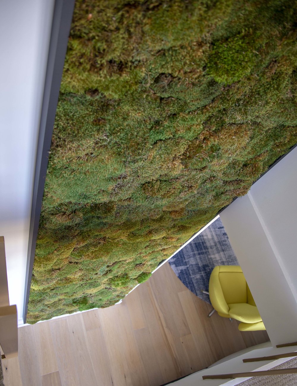 BIG NATURAL MOSS FRAME FOR A STAIRCASE OPENING IN SAN FRANCISCO.