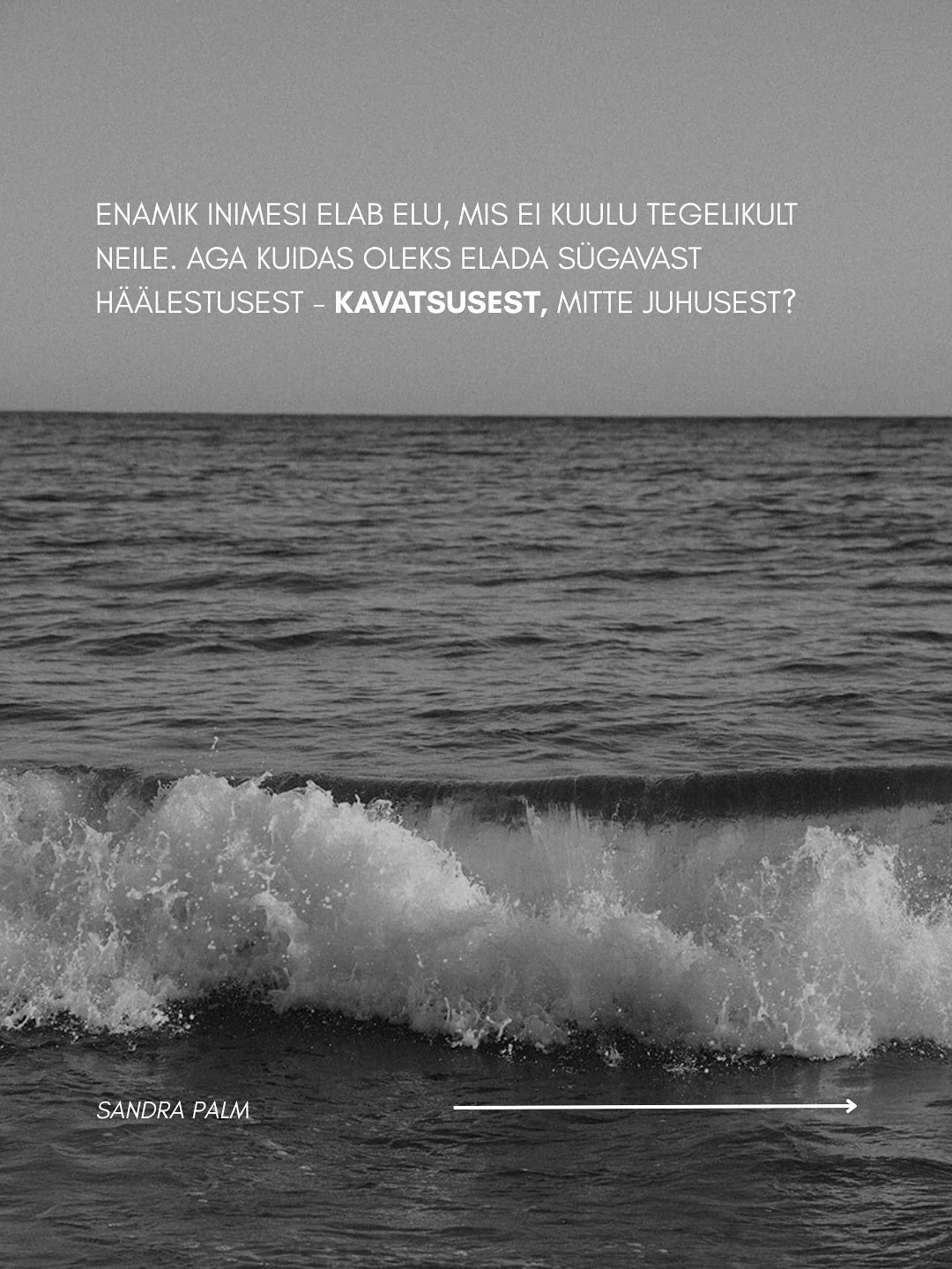 Enamik inimesi liigub l&auml;bi elu nii, et nad on ise omaenda elust puudu. Nad reageerivad, kohanevad, ootavad&hellip; ja nimetavad seda elamiseks. Aga juhuslik elu ei ole kunagi neutraalne. Ta s&ouml;&ouml;b Sind iga p&auml;ev killu v&otilde;rra v&