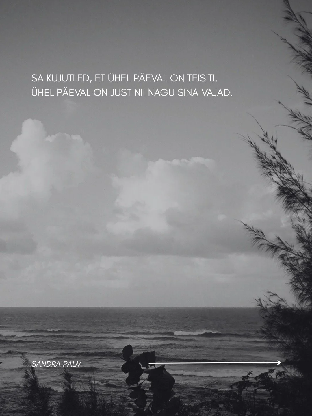 Me keegi ei &auml;rka &ldquo;&uuml;hel p&auml;eval&rdquo; m&uuml;stiliselt teise inimesena, teises kehas, teise karj&auml;&auml;ri, kodu v&otilde;i suhtega. Enese veenmine on meisterlikkus, lihtsalt vale eesm&auml;rgi teenistuses. 

M&otilde;nikord m