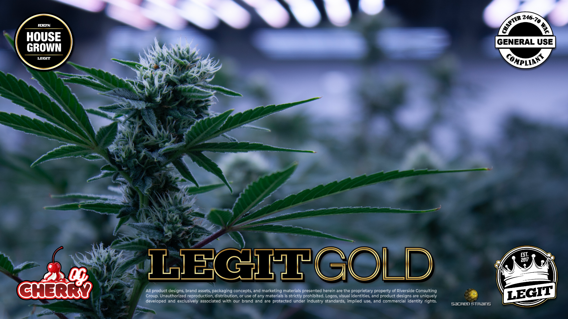 LegitGold_CherryOG_01.28.26_01.png