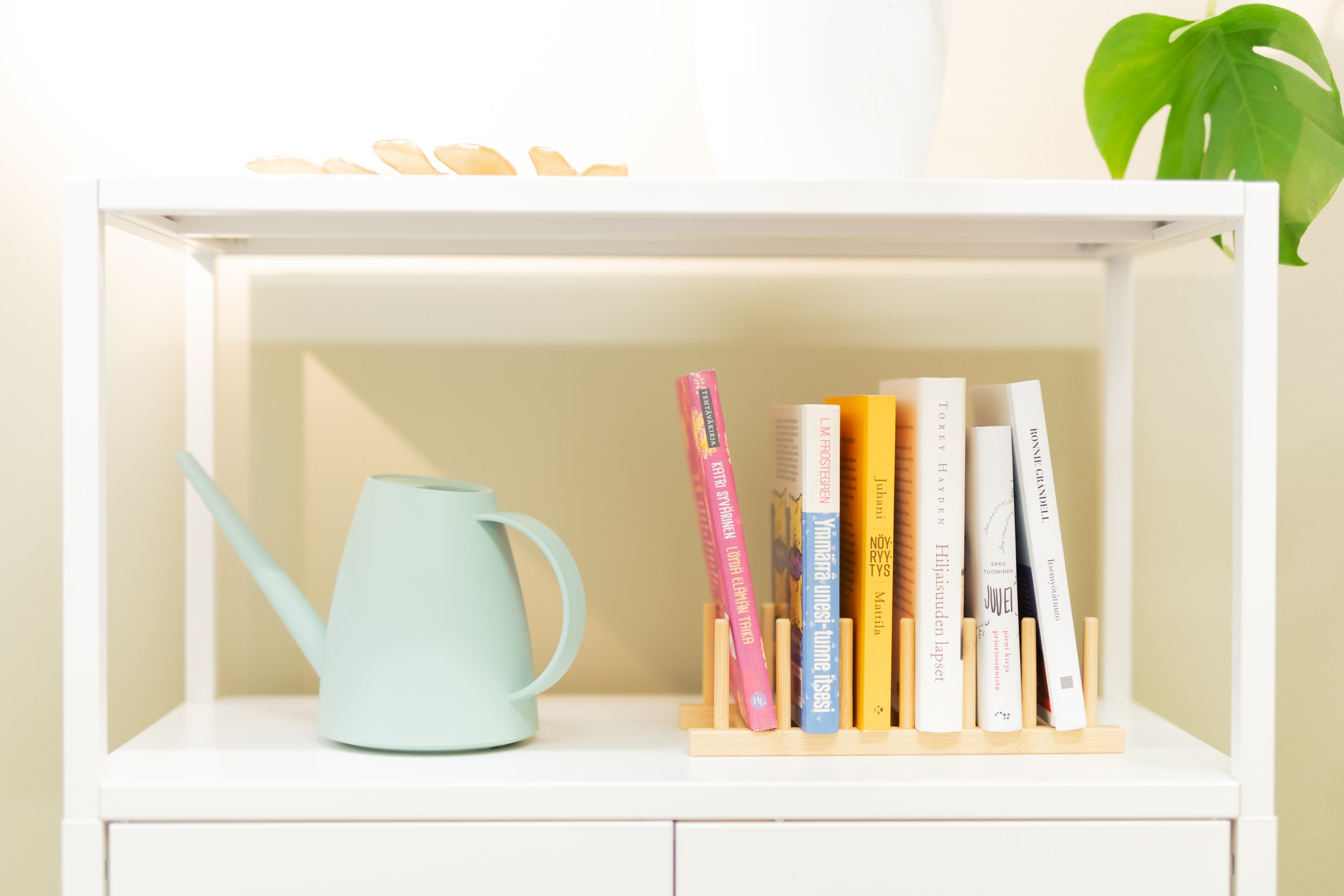 Silmuke ja SUJU yhdistyvät!