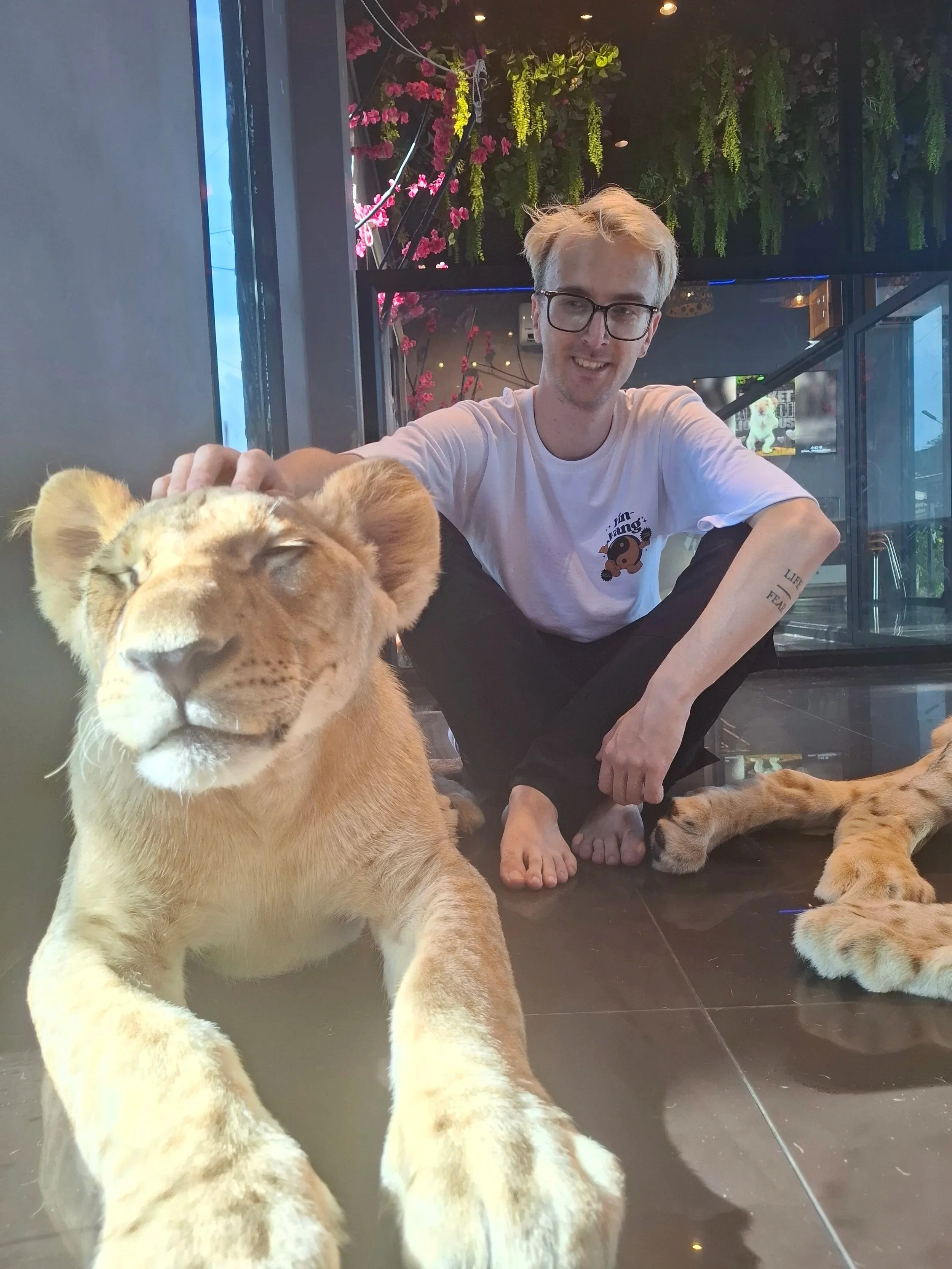 A young man with blond hair and glasses sitting on the floor with two tiger cubs, one close to the camera and the other near his feet, in a room with floral decorations and a TV in the background.