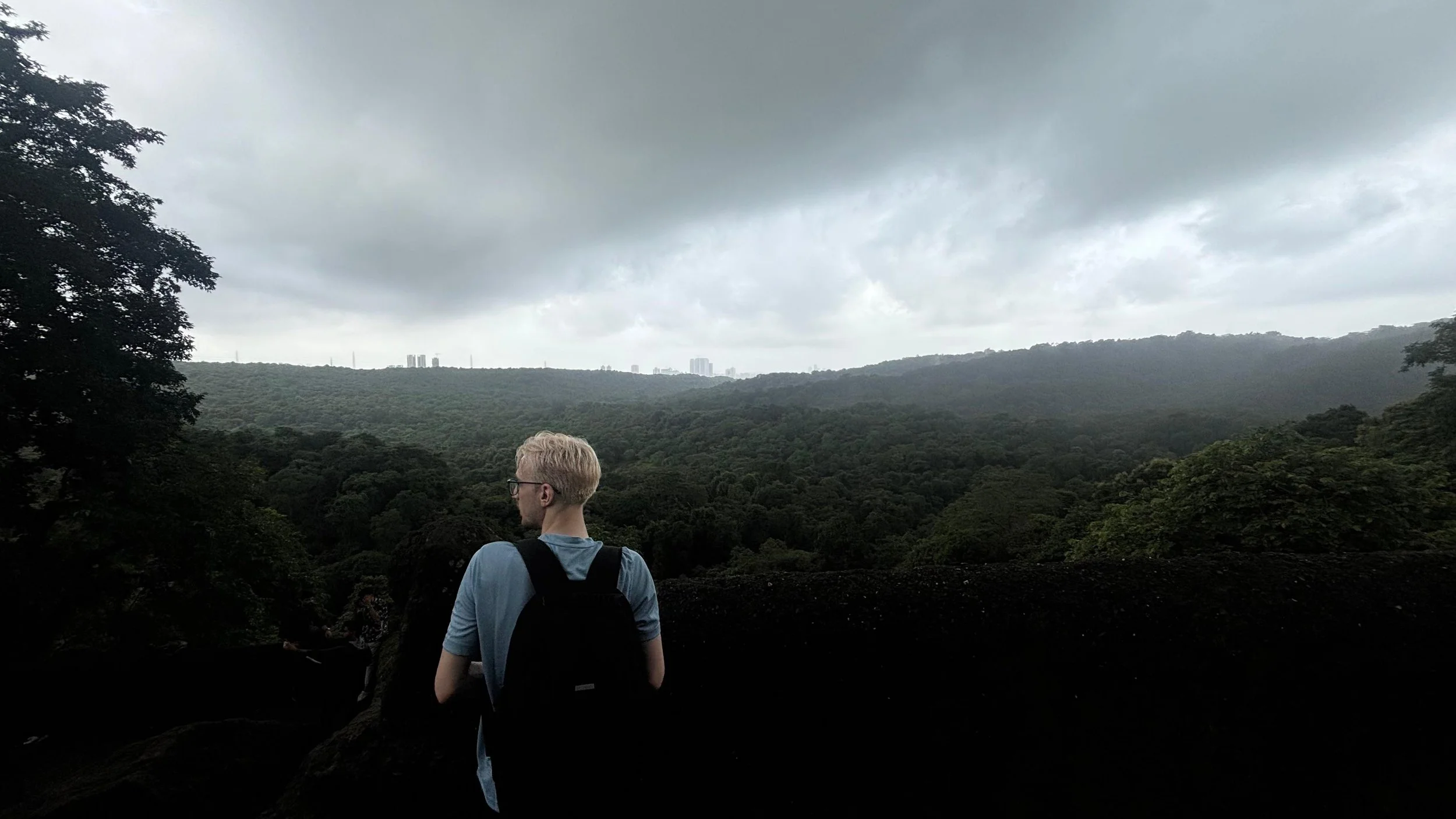 A person with blonde hair wearing glasses, a blue shirt, and a backpack, standing outdoors and looking at a hilly, forested landscape under a cloudy sky.