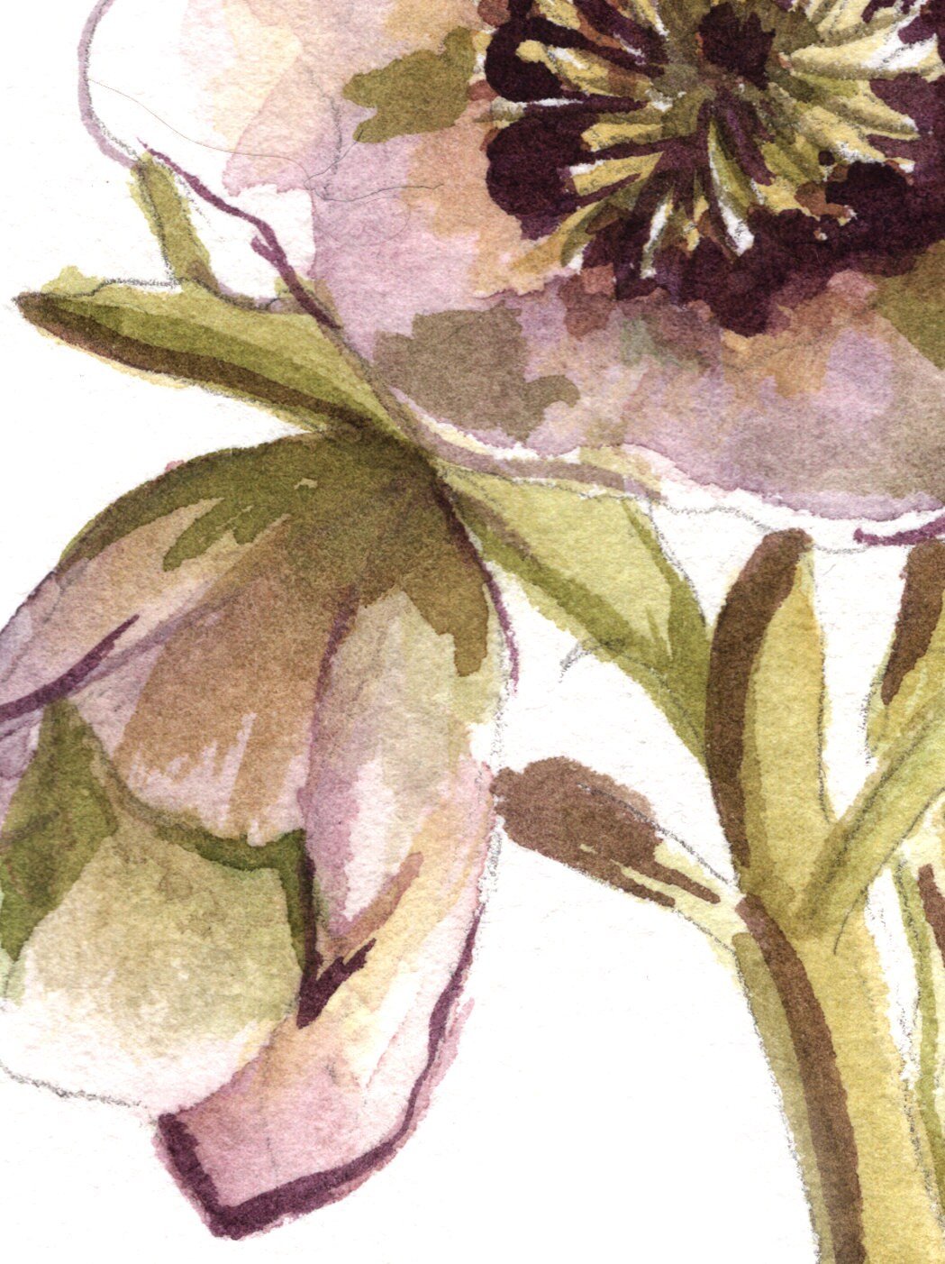 https://i.etsystatic.com/16692976/r/il/18c4dd/2672183030/il_fullxfull.2672183030_494y.jpg