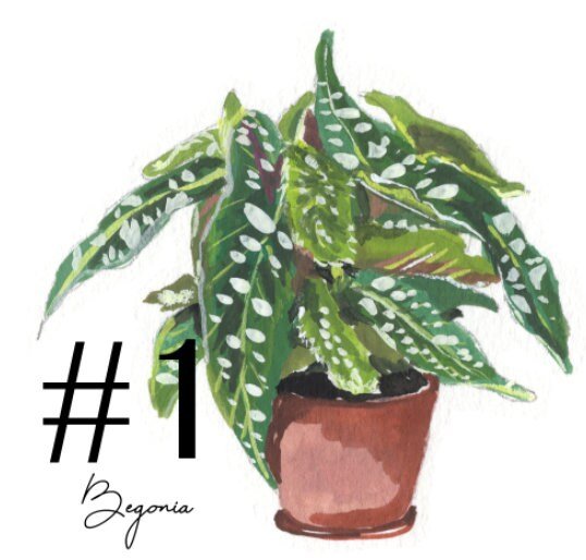 https://i.etsystatic.com/16692976/r/il/12f2f3/3487150268/il_fullxfull.3487150268_rsna.jpg