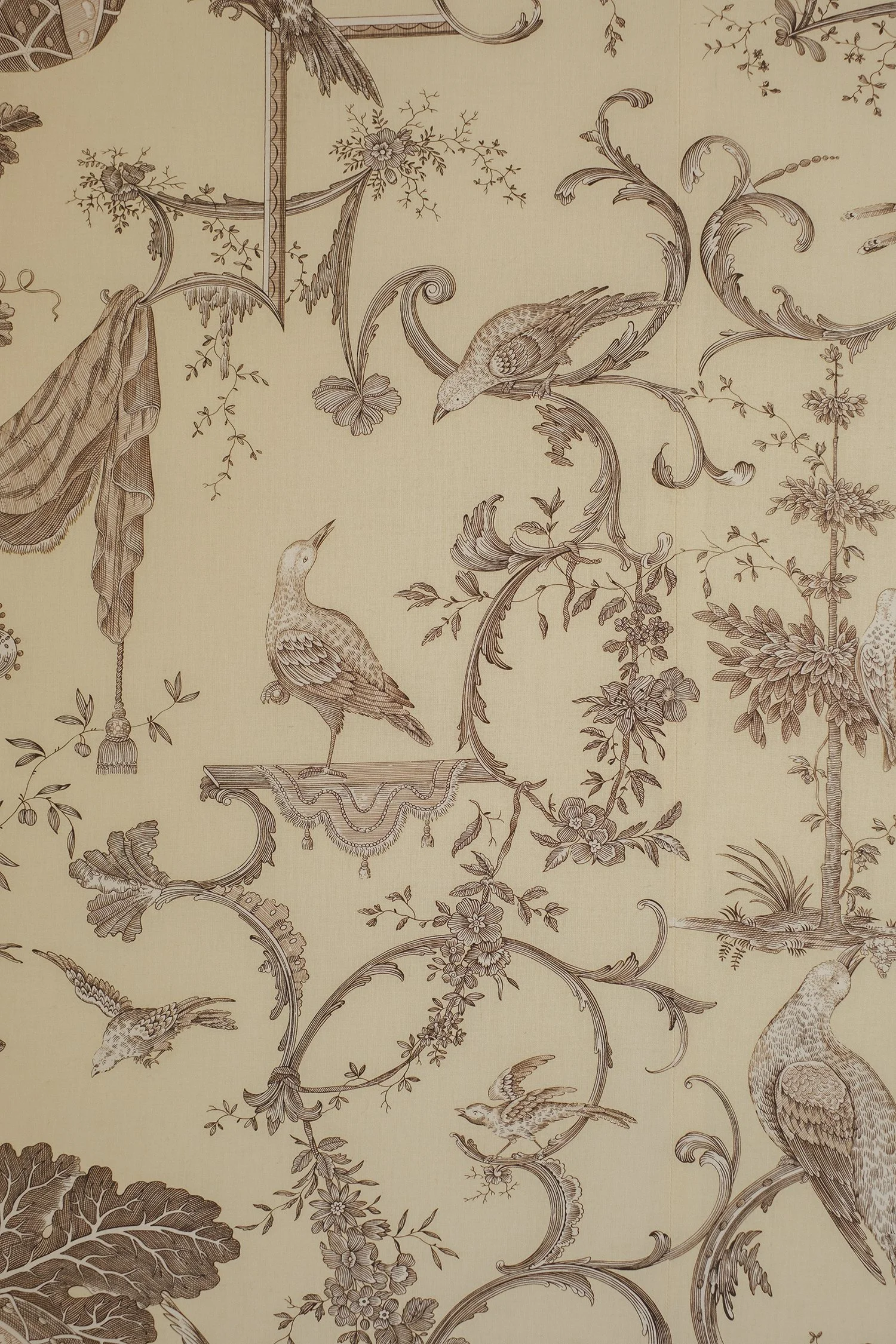 108 © Antoine Bonin.jpg