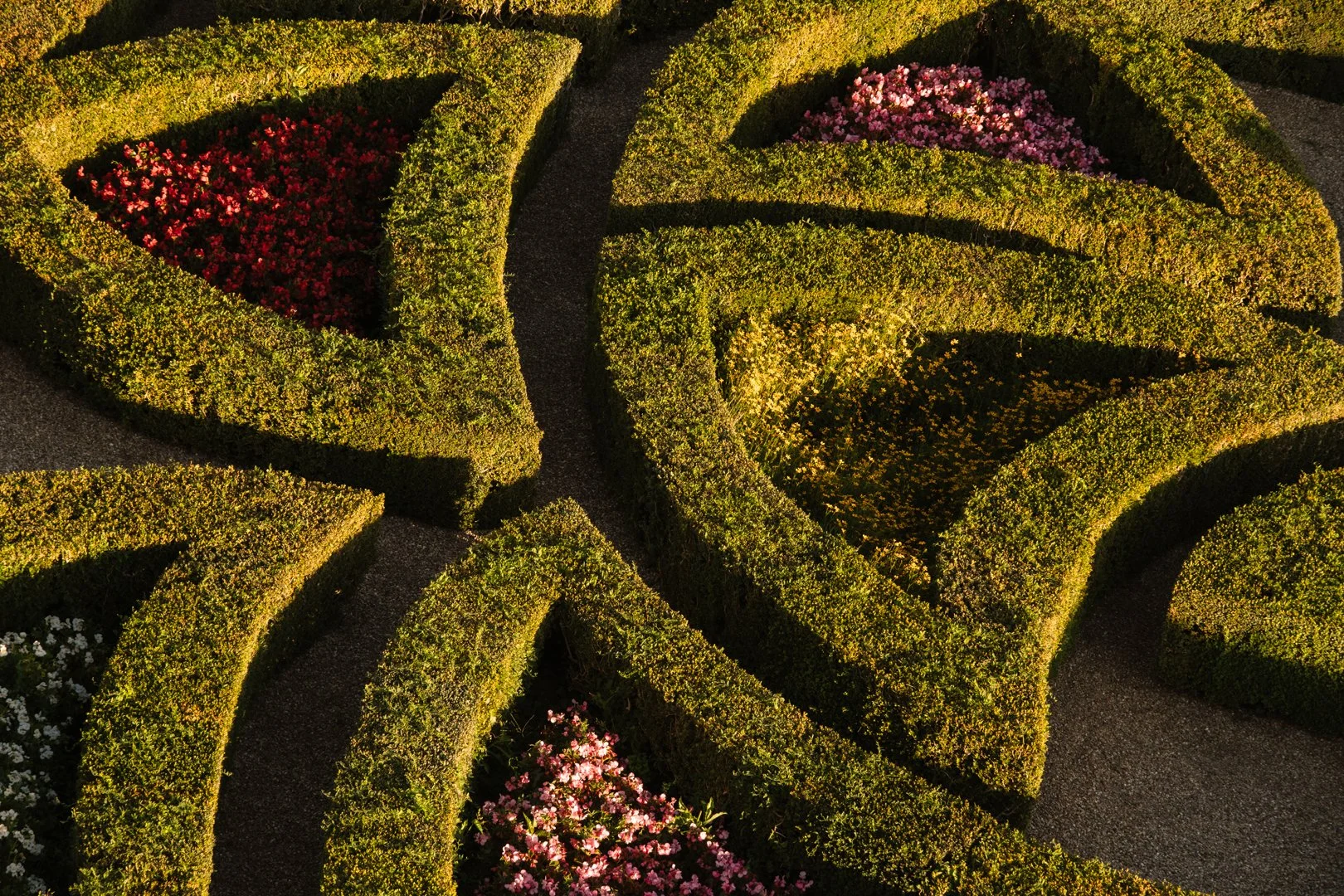 Top-down view of a garden maze with neatly trimmed green hedges and colorful flower beds
