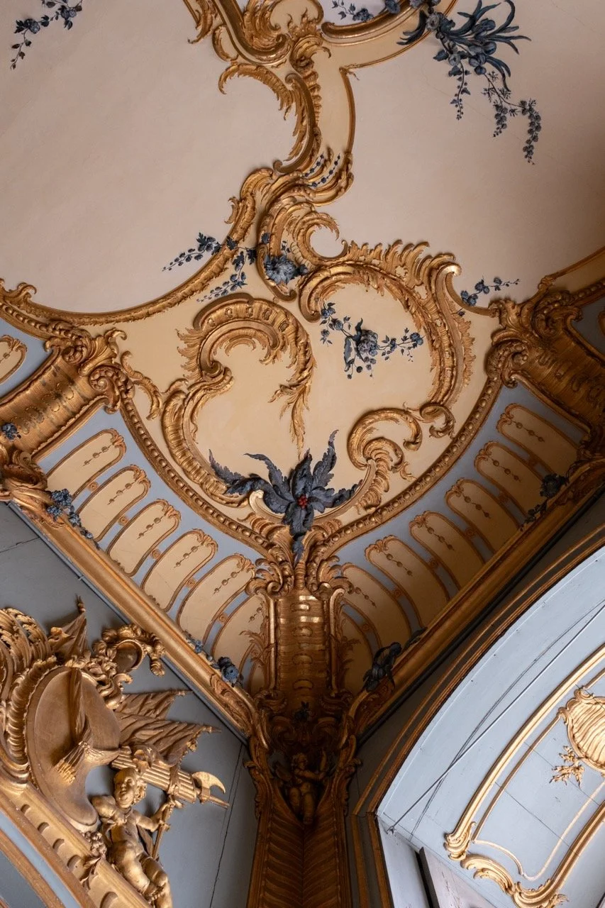 Ornate ceiling with elaborate gold moldings, floral patterns, and decorative elements in a historic interior.