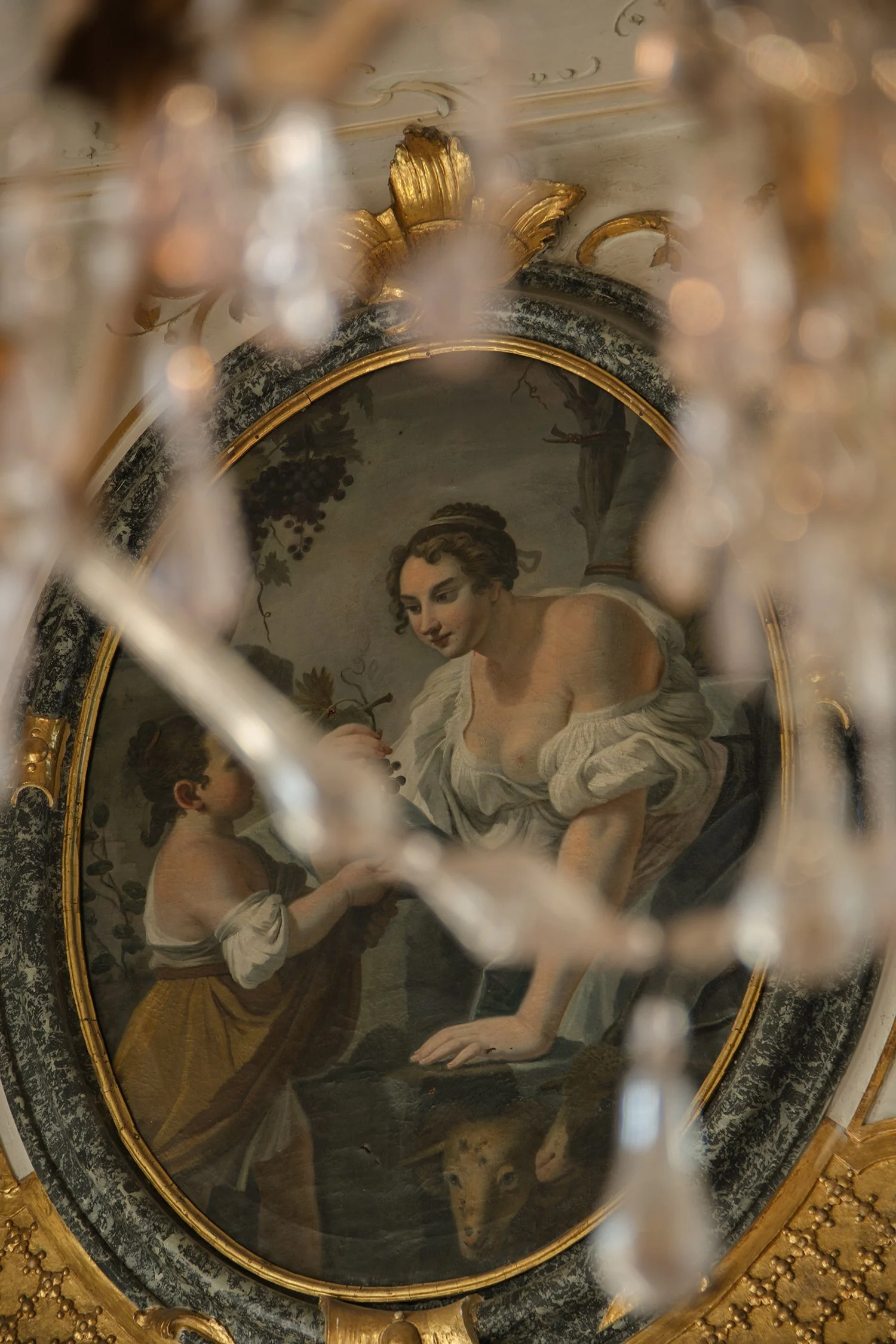 DSCF8451.jpg