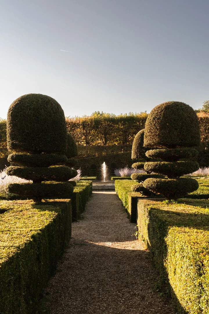 A symmetrical garden with trimmed bushes and topiary trees, a gravel pathway leading to a fountain, and a clear sky overhead.