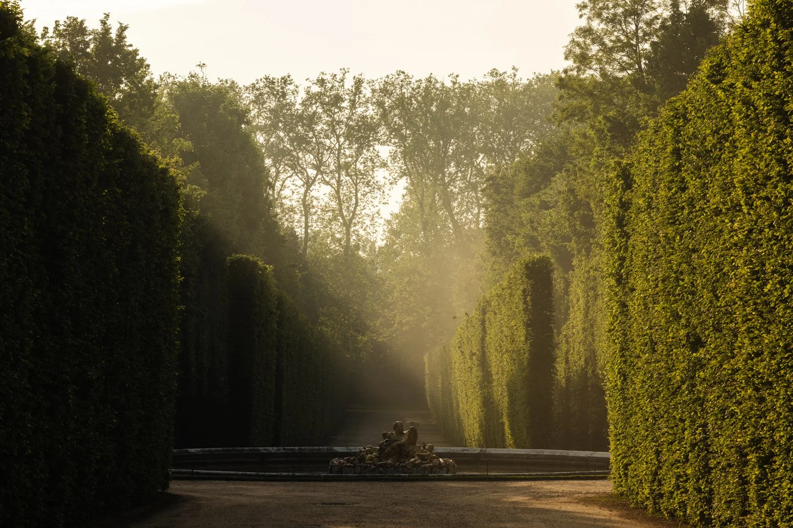 Sunlight filtering through trees on a pathway leading to a fountain with a sculpture, in a lush garden or park.