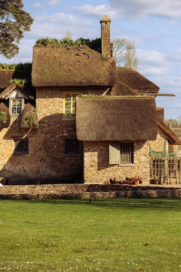 An old stone house with a thatched roof, multiple small windows, and a chimney, surrounded by a grassy yard and trees in the background.