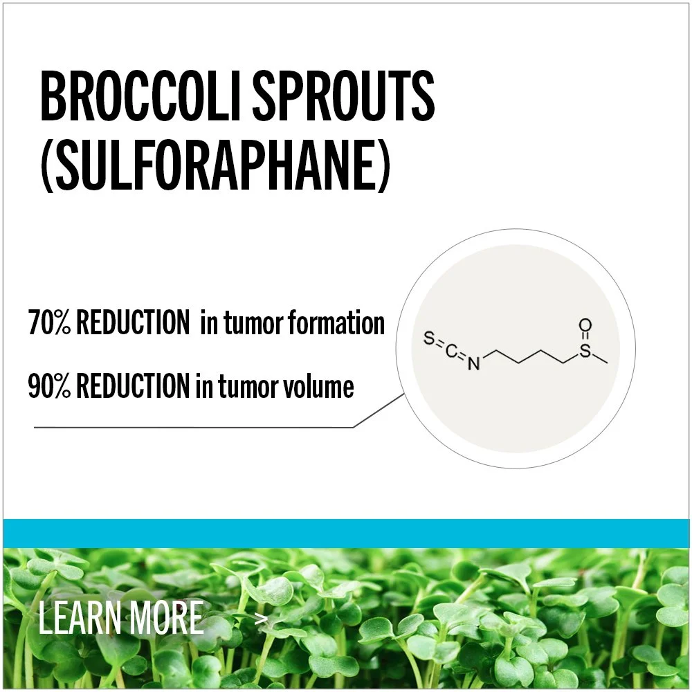 Infographic about Sulforaphane with black text on a white background, including chemical structure, highlighting 70% reduction in tumor formation and 90% reduction in tumor volume, and a photo of green sprouts at the bottom with a call to action to learn more.