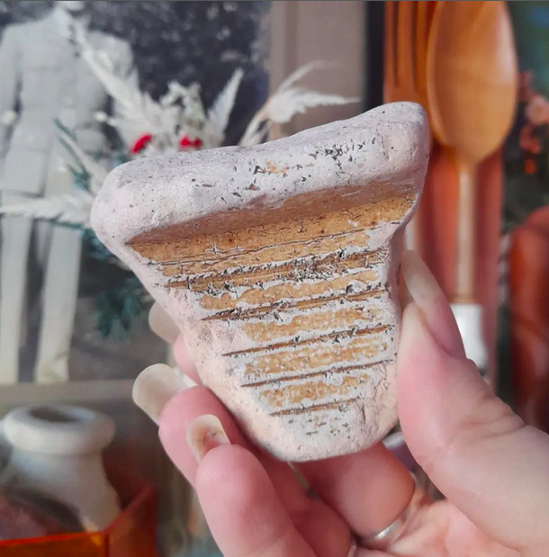 Chunky piece of lined pottery, age unknown.