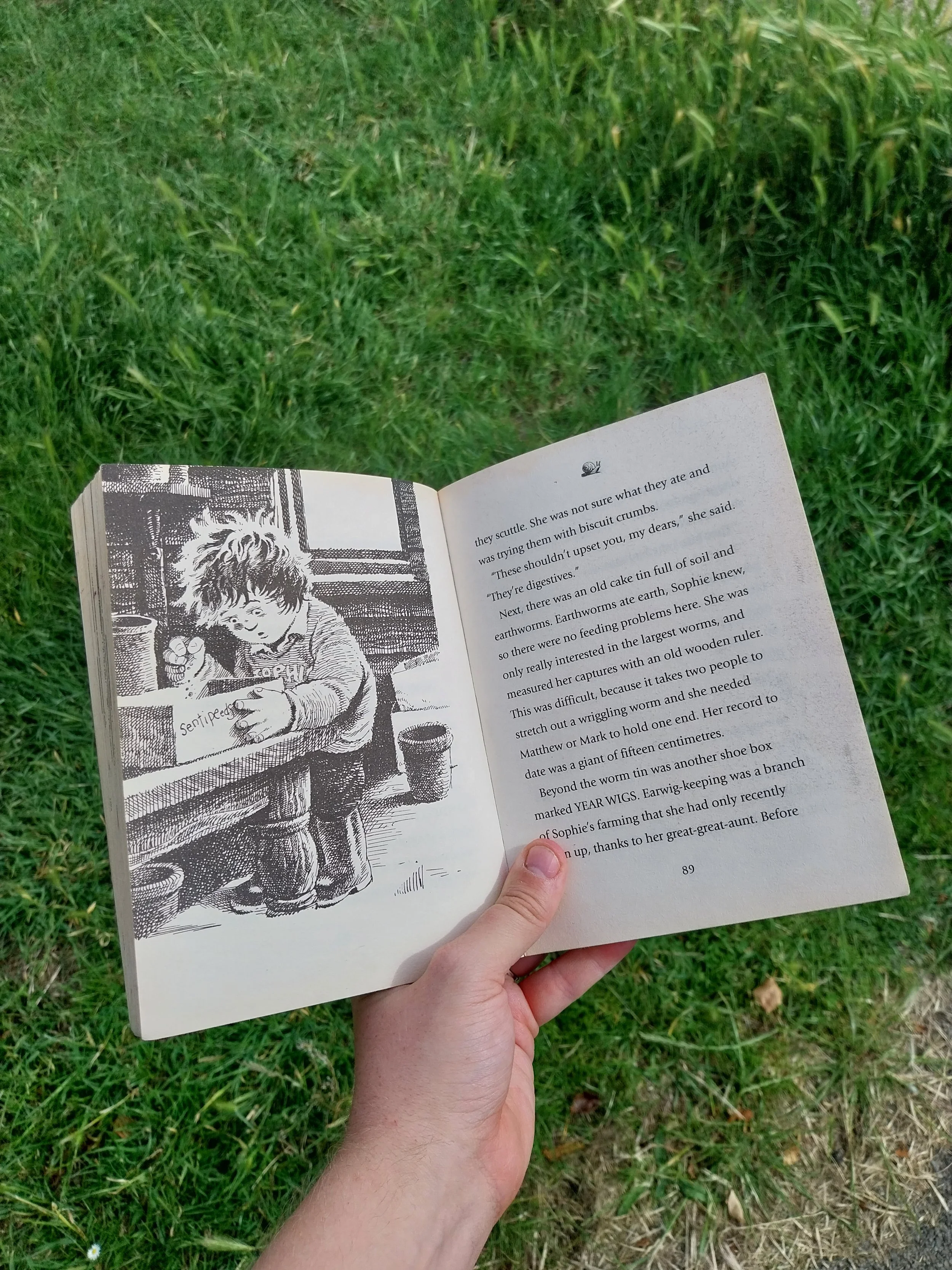 Brandon’s white hand holding the book open, showing an illustration of Sophie tending to her bug farm in the shed, with a page of text next to it detailing the various creatures in her care.