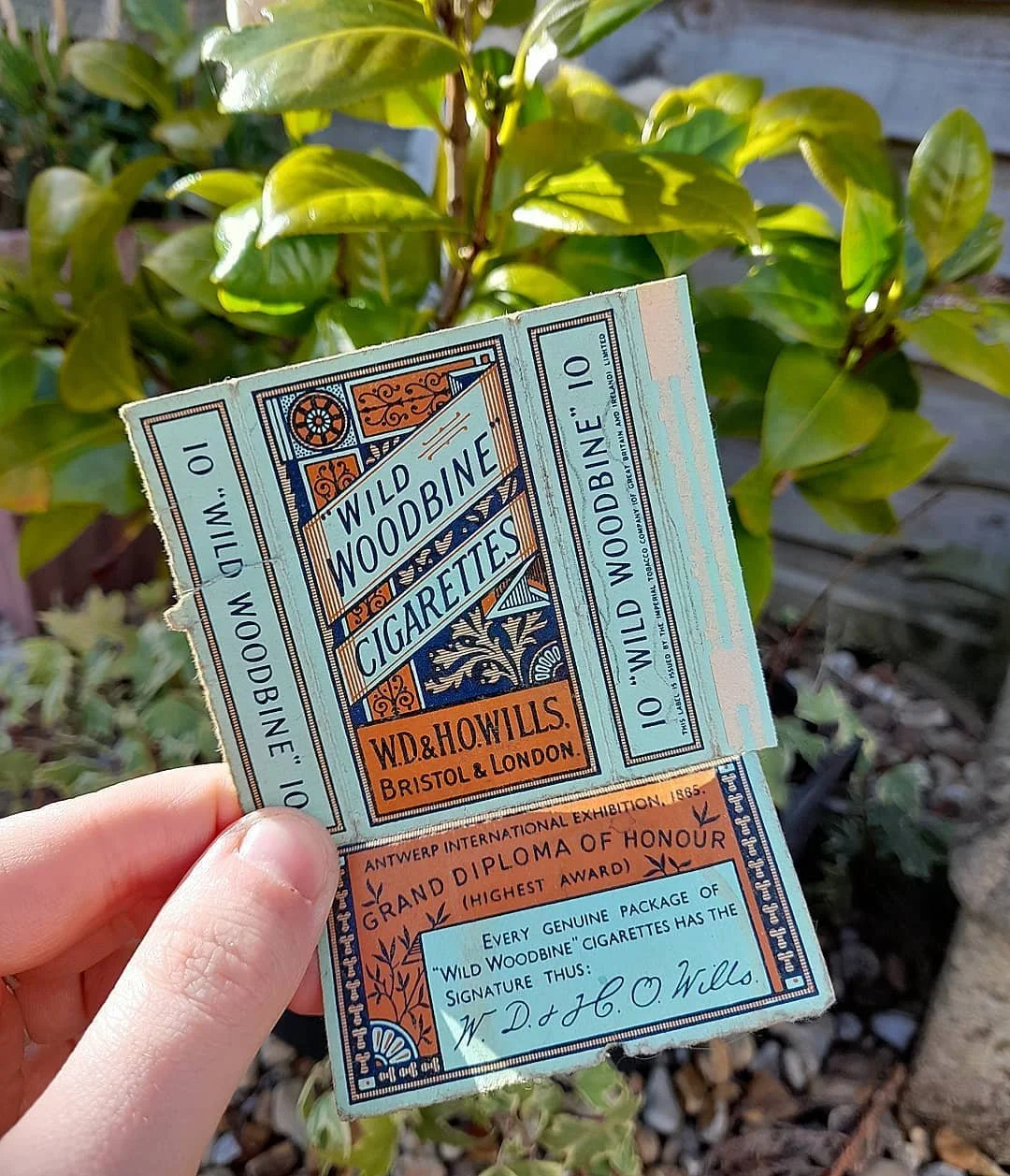 Cigarette Boxes