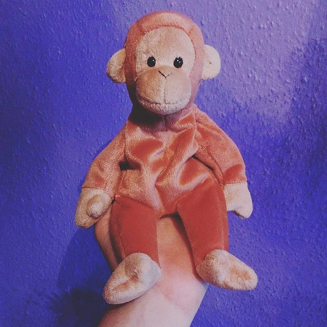 Bongo, 1995