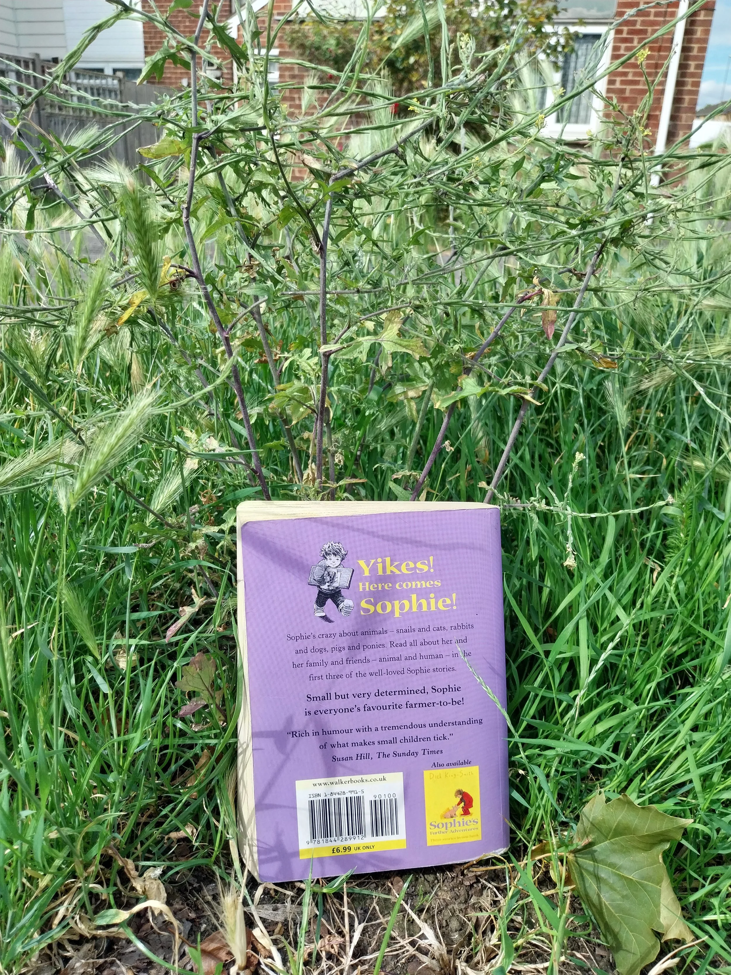 A picture of the back of the book, whist features a synopsis and a tagline ‘Yikes! Here comes Sophie!’. There’s also a review by Susan Hill of The Sunday Time, a barcode and a photo advertising the next compilation book ‘Sophie’s Further Adventures’.