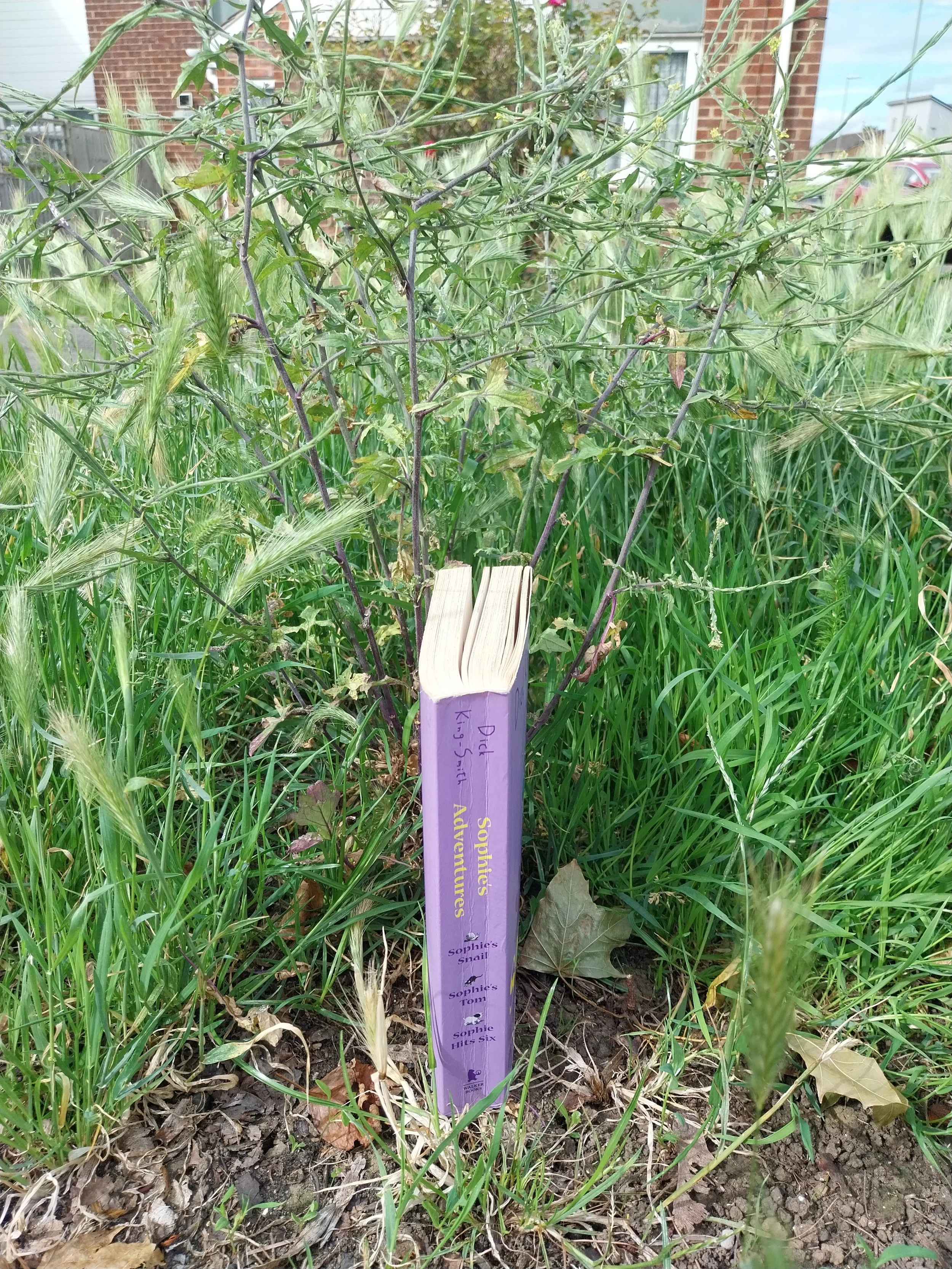 Another angle of the book showing the spine, which has the title on it in a yellow font and the name of each story inside, including ’Sophie’s Snail’ ’Sophie’s Tom’ and ‘Sophie Hits Six’.
