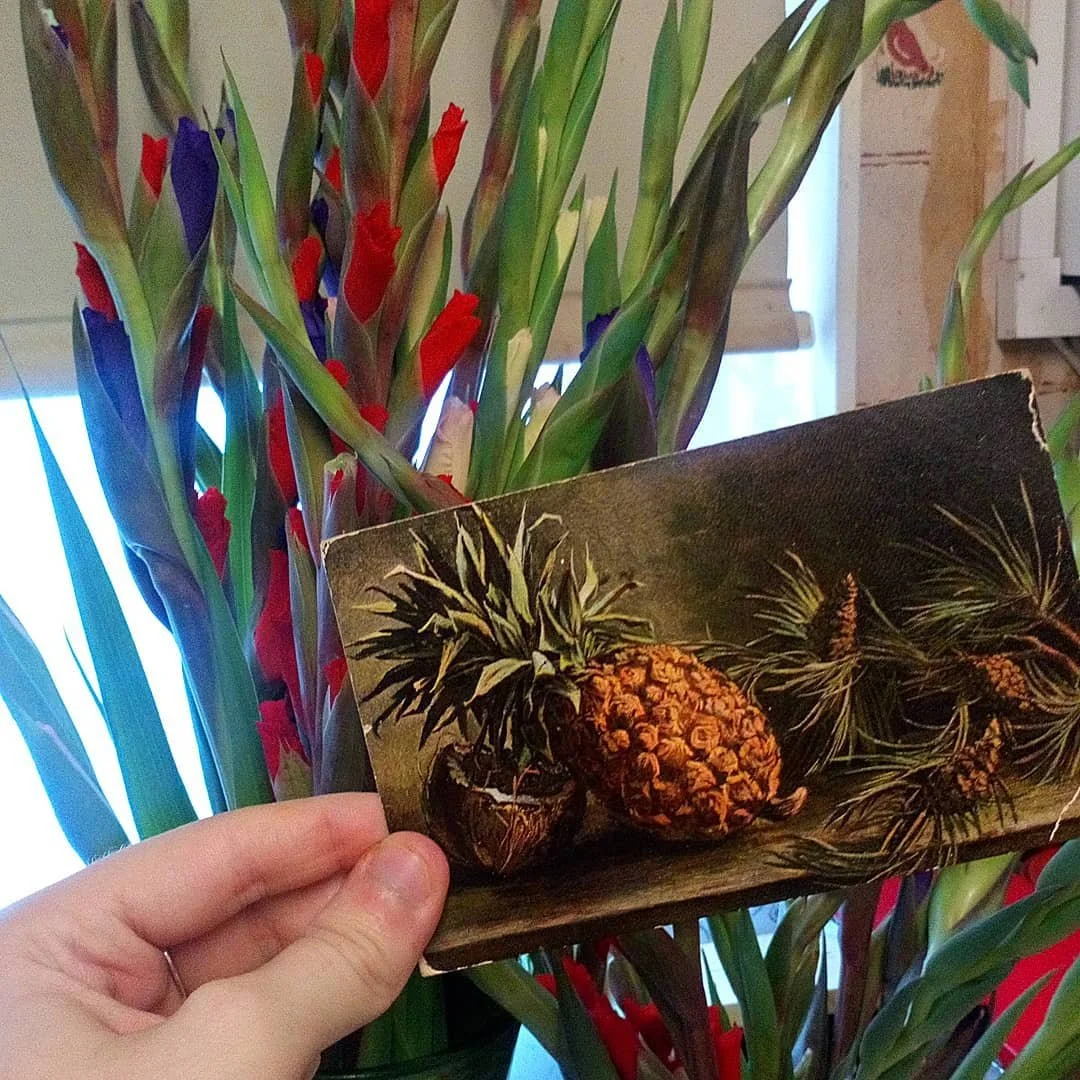 Pineapple painting, early 20th Century