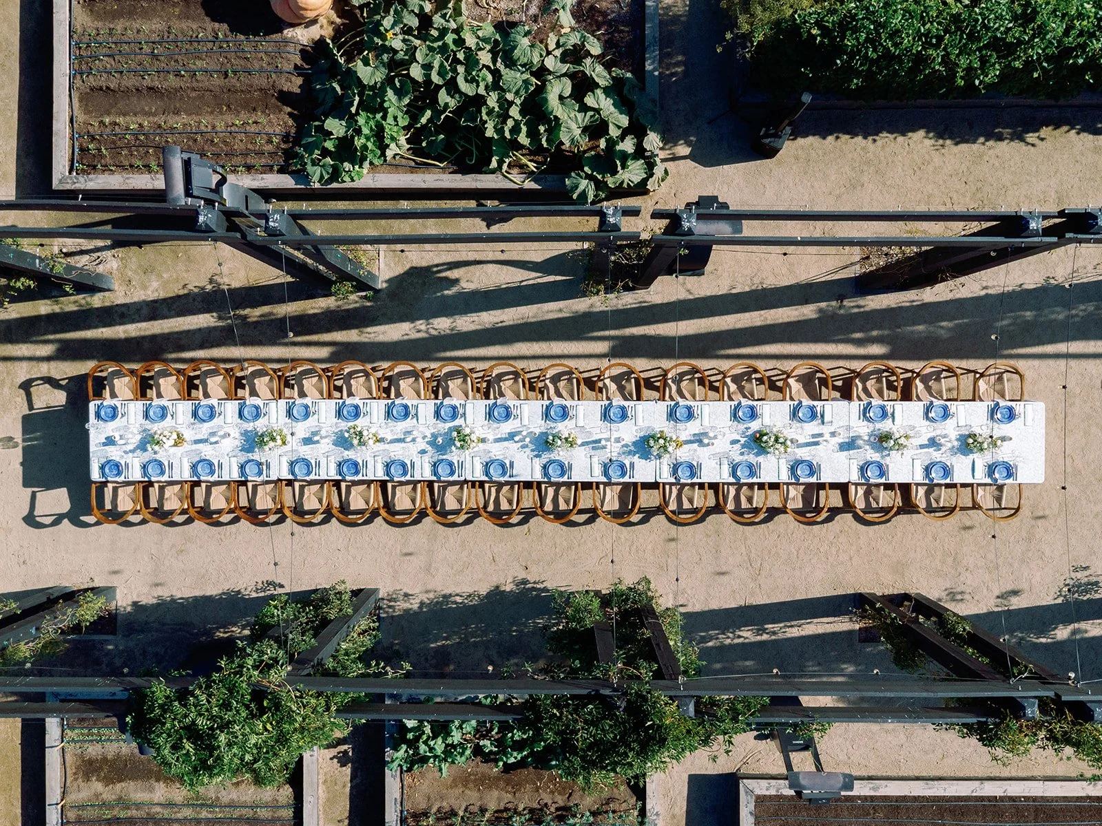 Empty outdoor dining table with 16 chairs, decorated with small flower arrangements, viewed from above in a garden setting.