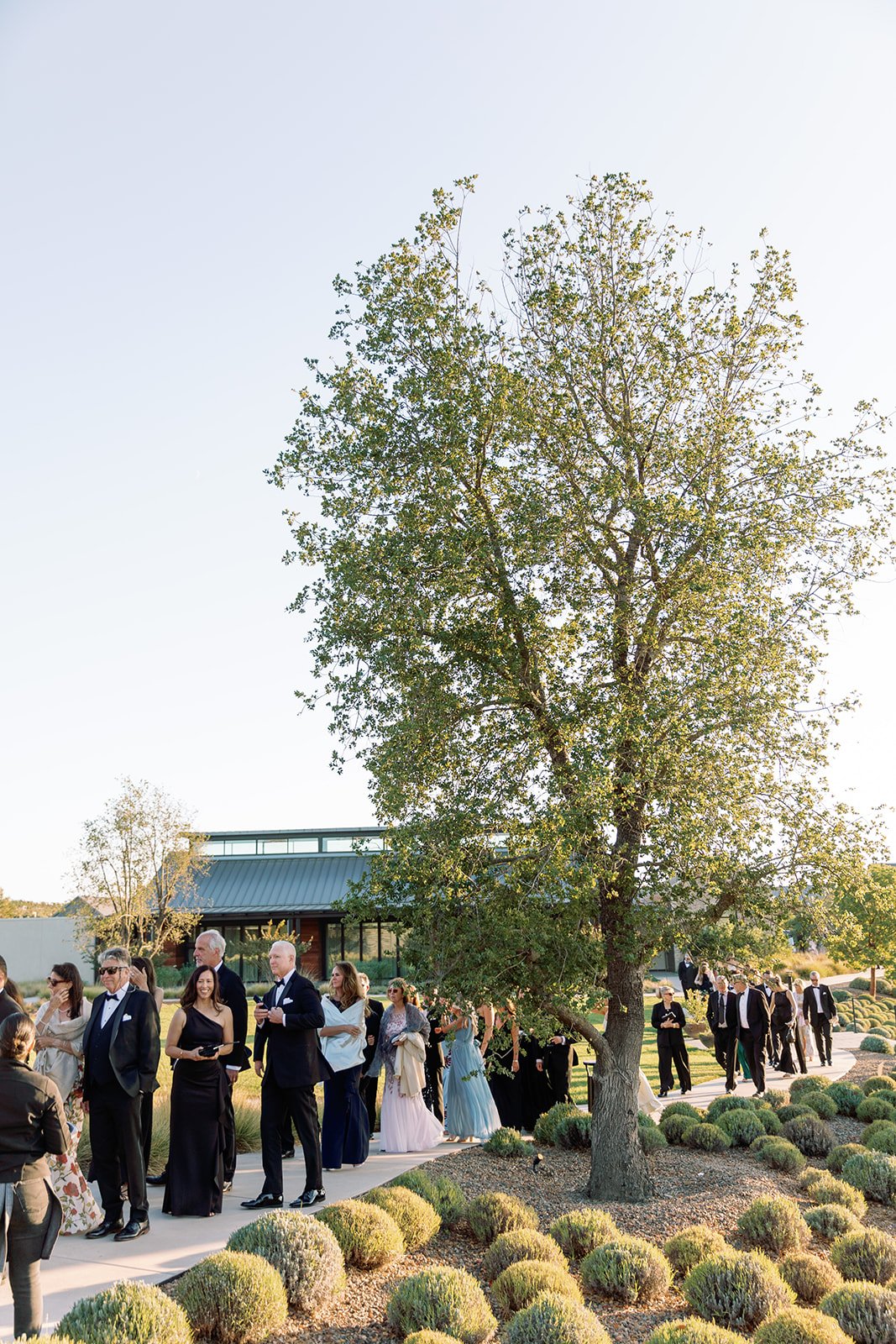 jeremy chou photographers - CM-0915.jpg