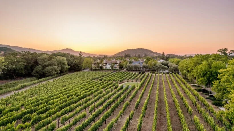 The-Estate-Yountville-Partner-Assets-DJI_0045-1_R-820x460.jpg
