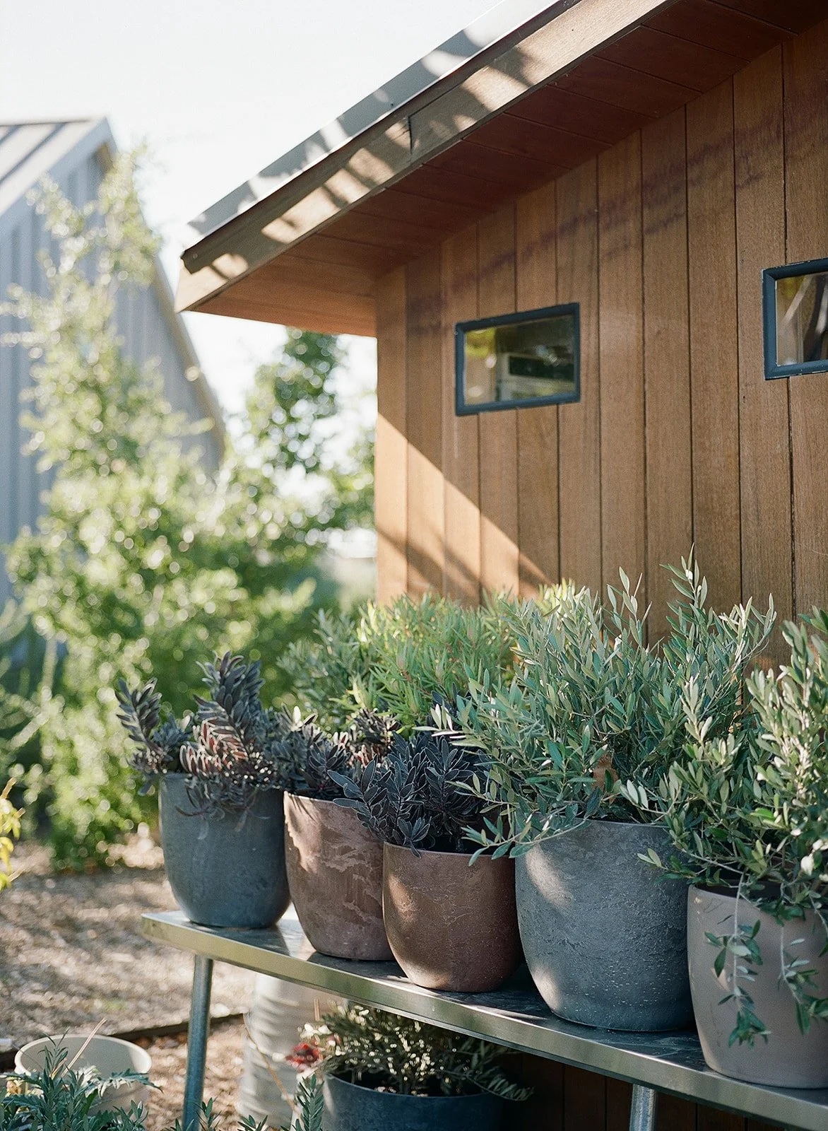 stanly-ranch-napa-valley-wedding-venue-photos-02.jpg