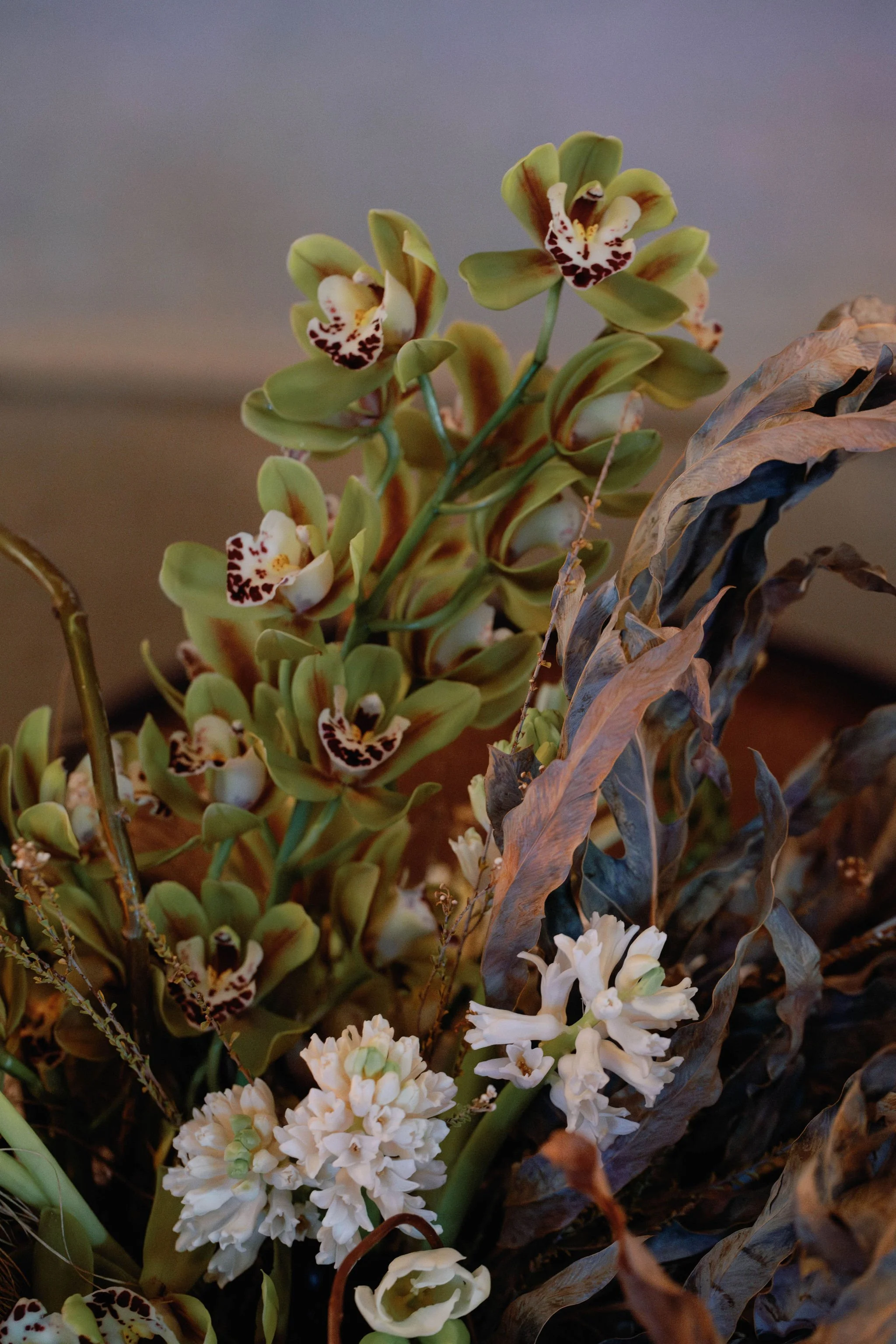 Close-up of a floral arrangement with green orchids with spotted lips, white flowers, and dried leaves.