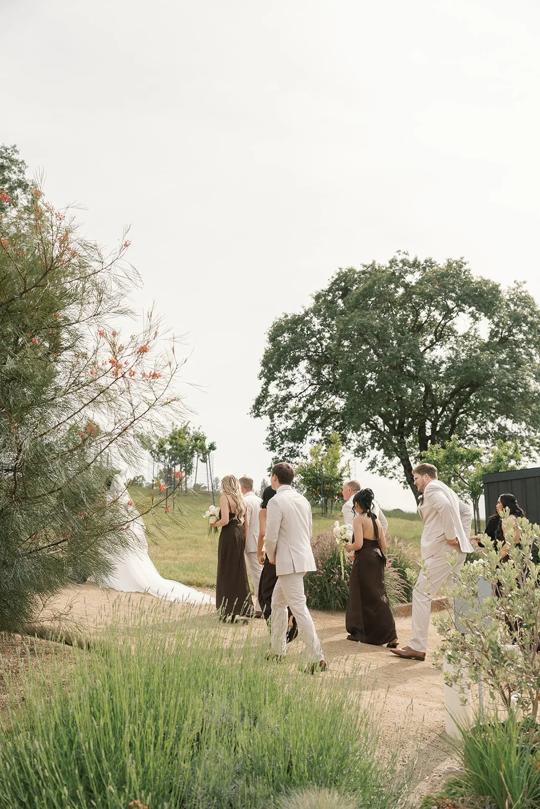 mountain-vineyard-wedding-cool-ca.jpg