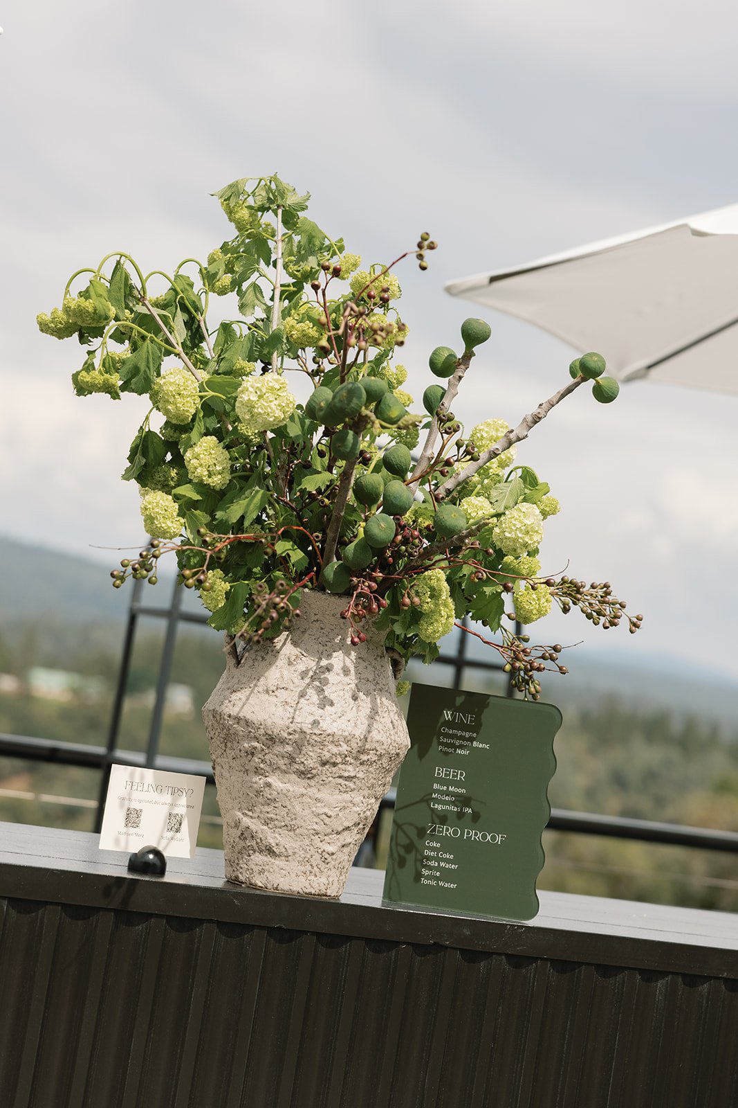 mountain-vineyard-wedding-cocktail-hour.jpg