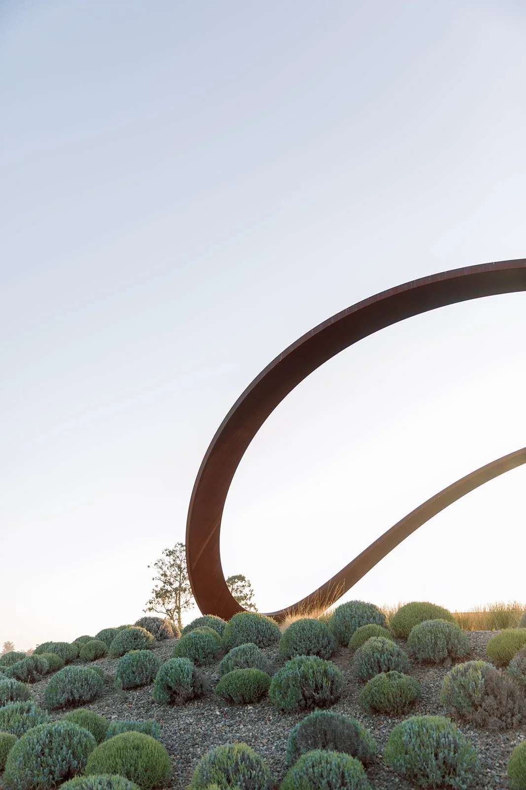 A large outdoor sculpture of two curved, rust-colored metal loops over a landscaped area with small, rounded green bushes, under a clear sky.