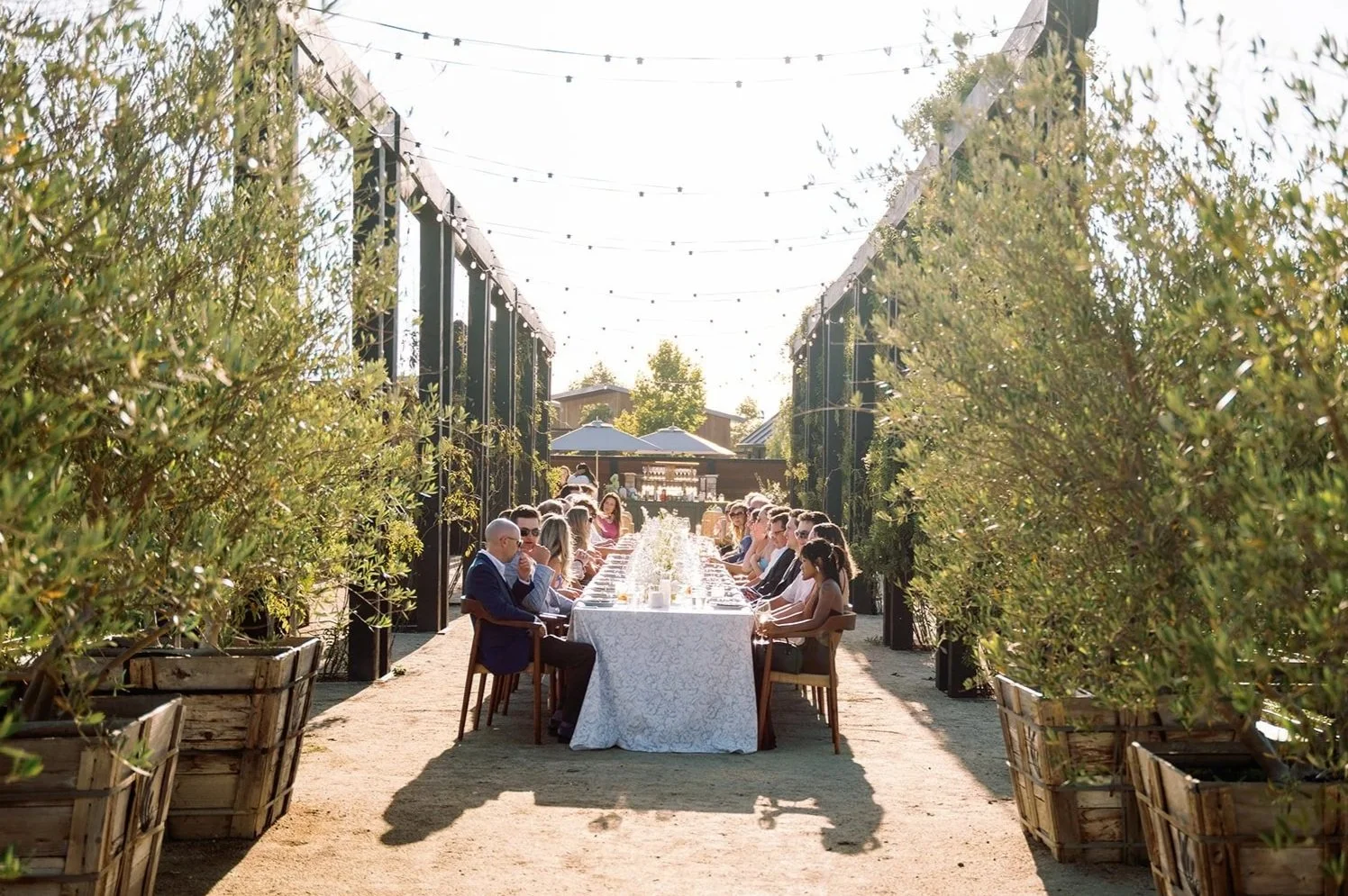 Outdoor wedding reception at Stanly Ranch in Napa Valley with twinkle lights, custom floral arrangements, and an elegant wine country atmosphere.