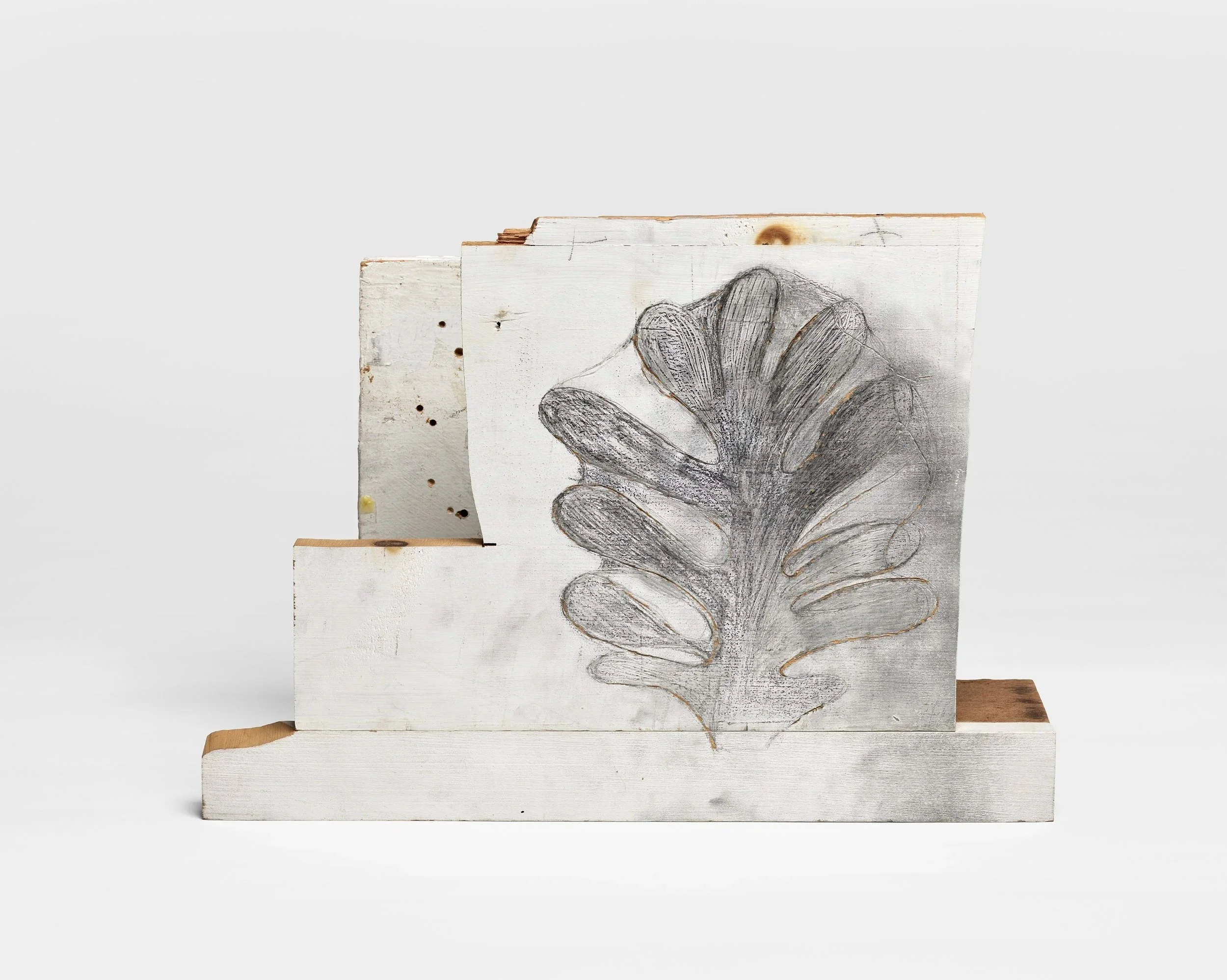 After Blossfeldt I, 2024
shelf from Jim's library, wood, graphite
11 x 15 x 5 inches